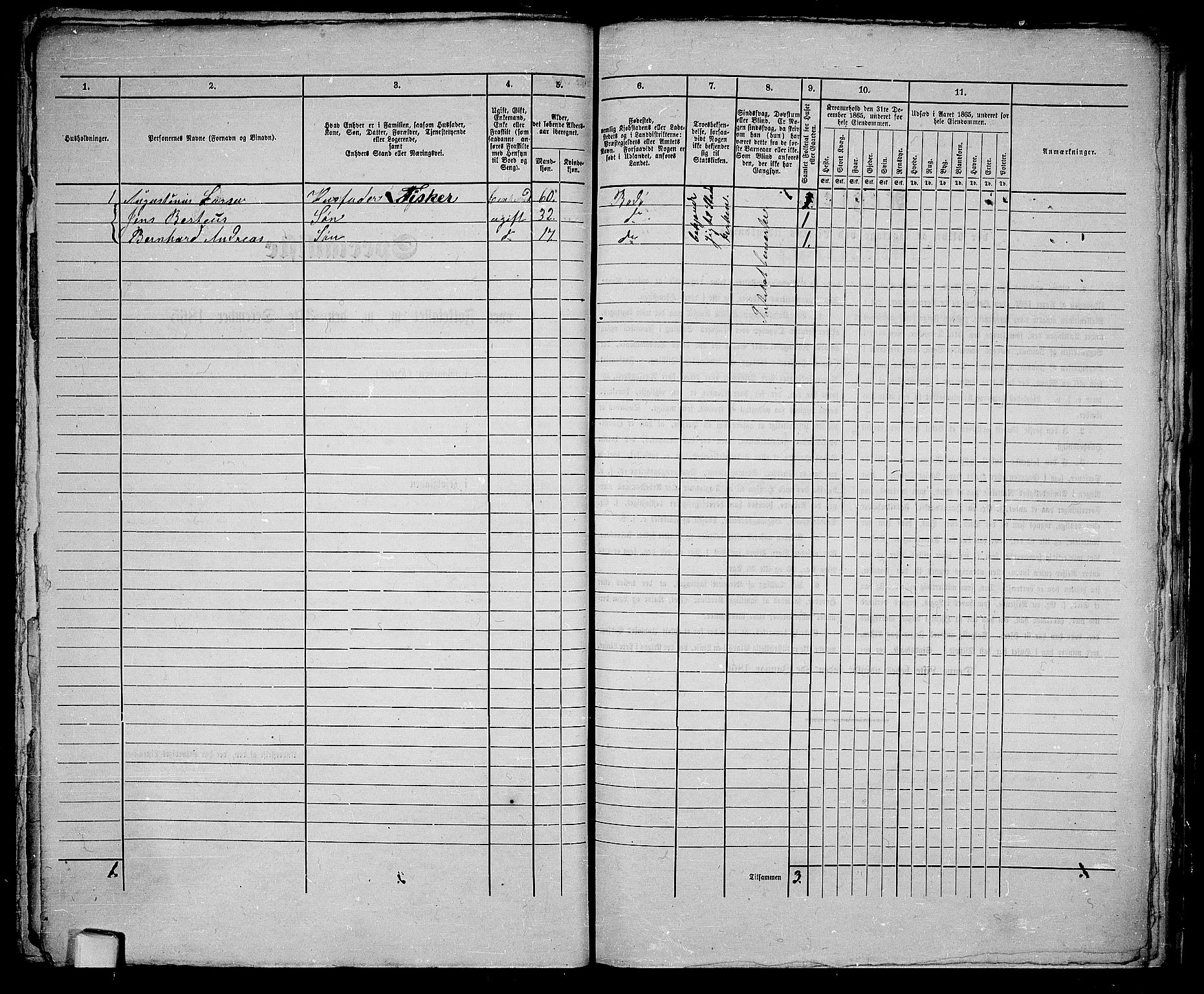 RA, 1865 census for Bodø/Bodø, 1865, p. 110