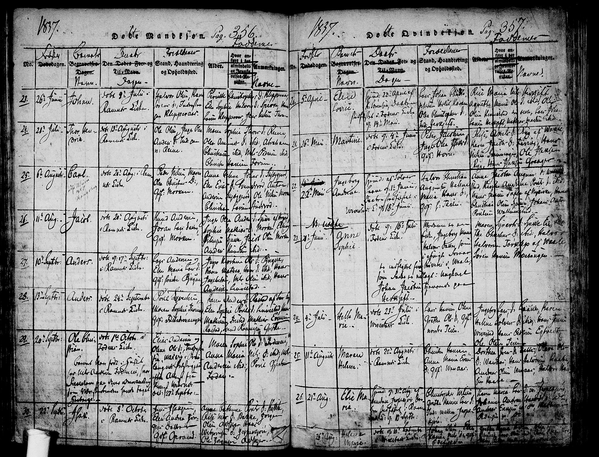 Ramnes kirkebøker, SAKO/A-314/F/Fa/L0004: Parish register (official) no. I 4, 1813-1840, p. 356-357