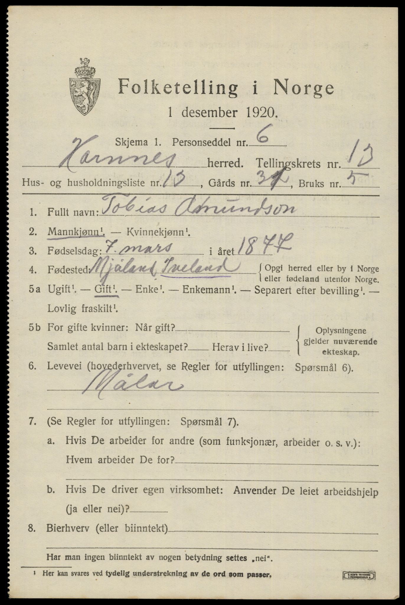 SAK, 1920 census for Hornnes, 1920, p. 3237