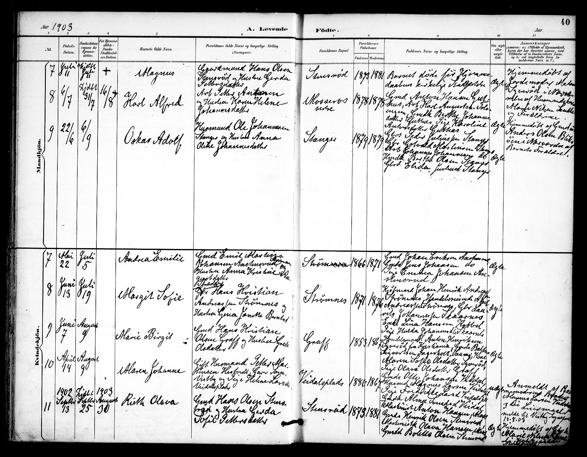 Våler prestekontor Kirkebøker, AV/SAO-A-11083/F/Fa/L0011: Parish register (official) no. I 11, 1893-1909, p. 40