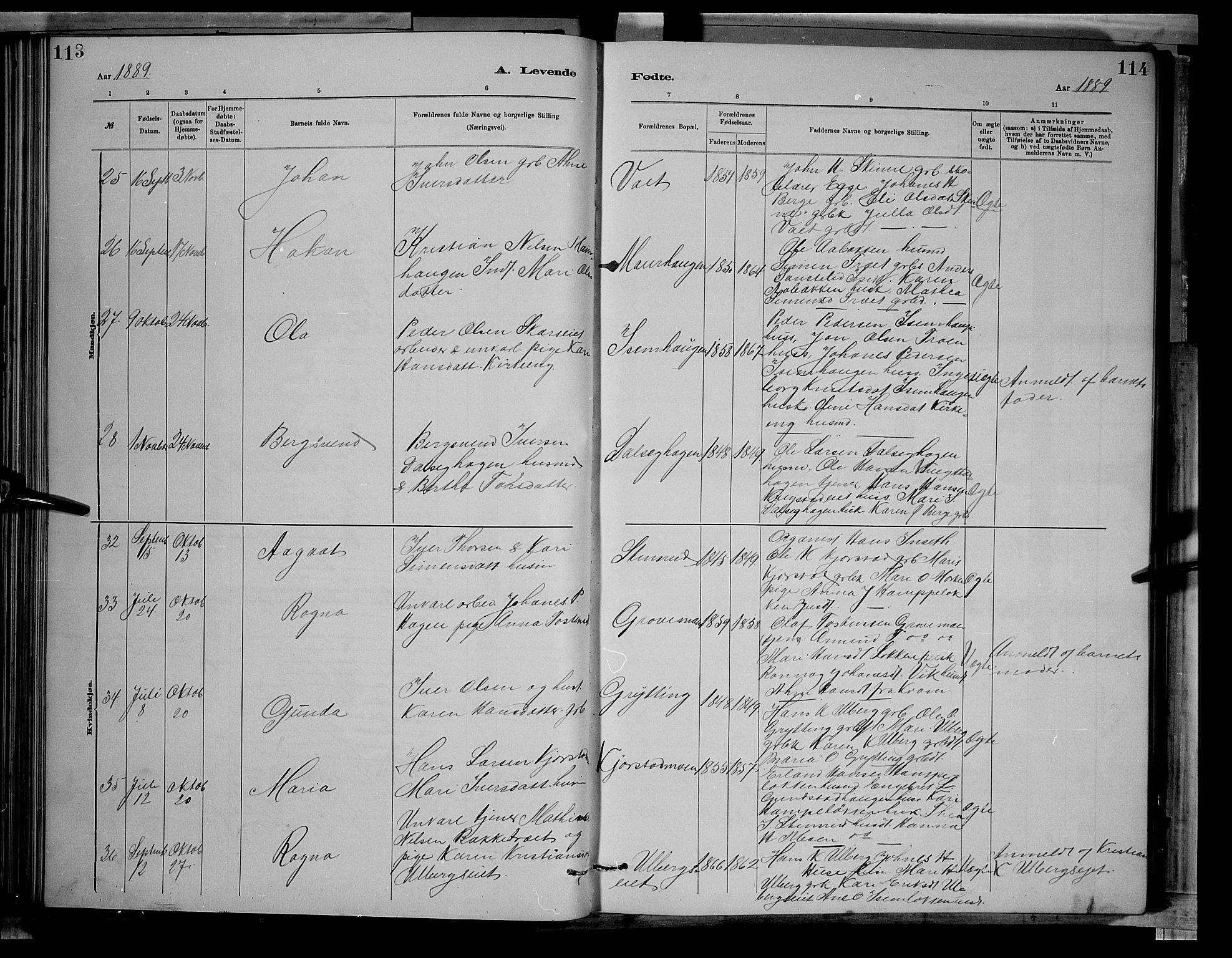 Sør-Fron prestekontor, AV/SAH-PREST-010/H/Ha/Hab/L0003: Parish register (copy) no. 3, 1884-1896, p. 113-114