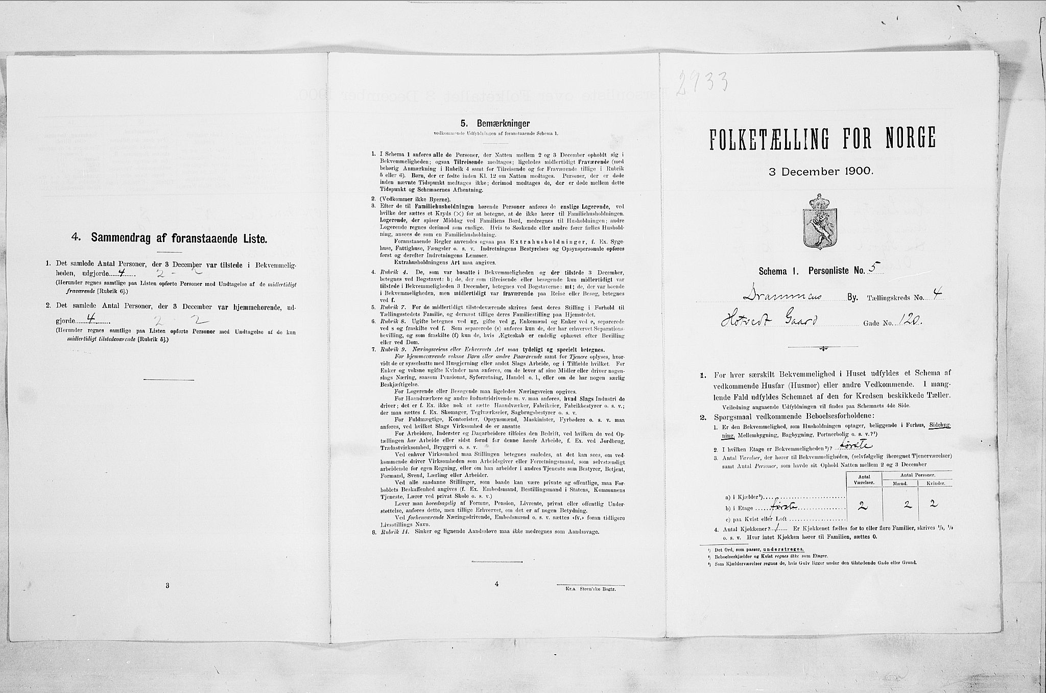 RA, 1900 census for Drammen, 1900, p. 956