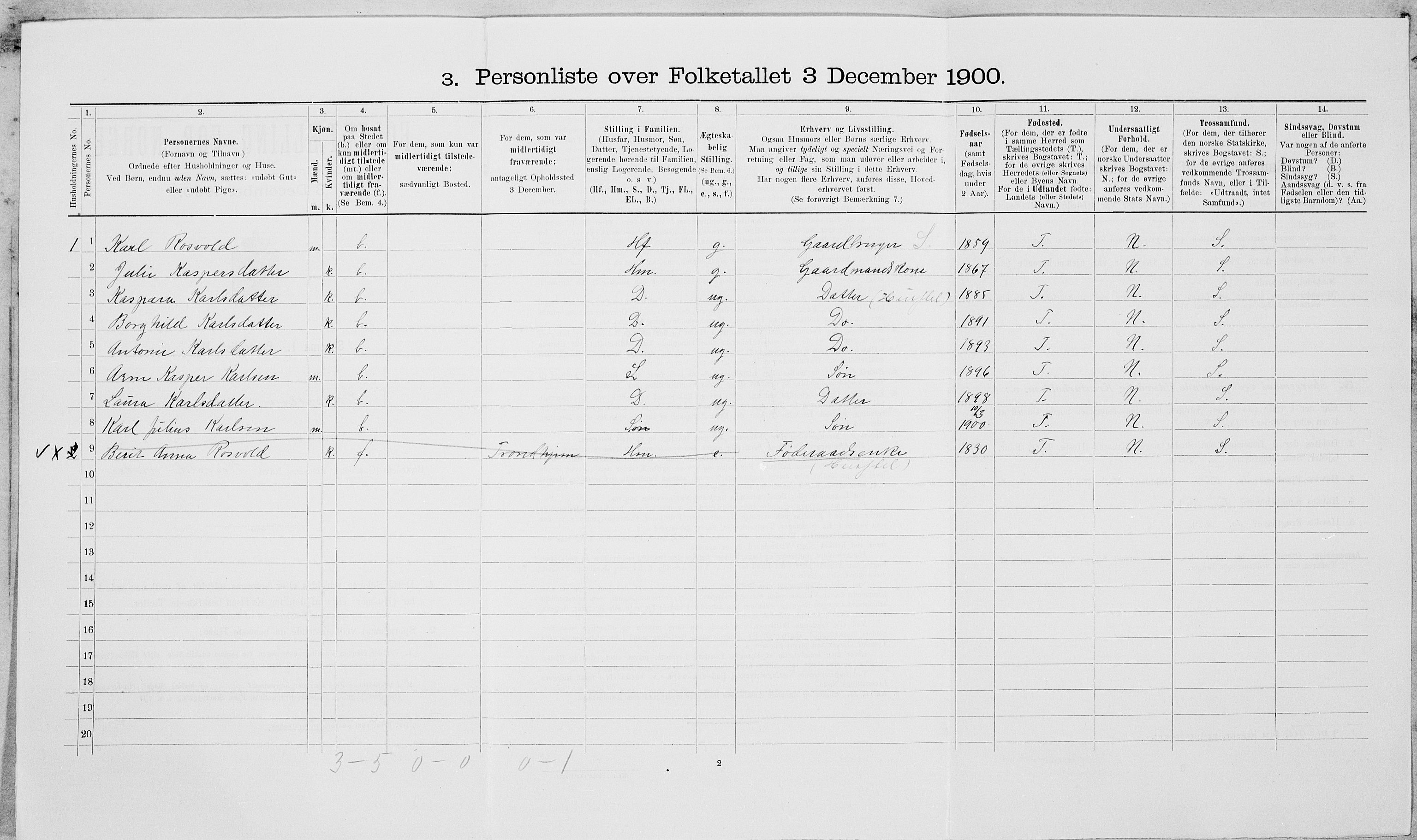 SAT, 1900 census for Leksvik, 1900, p. 313