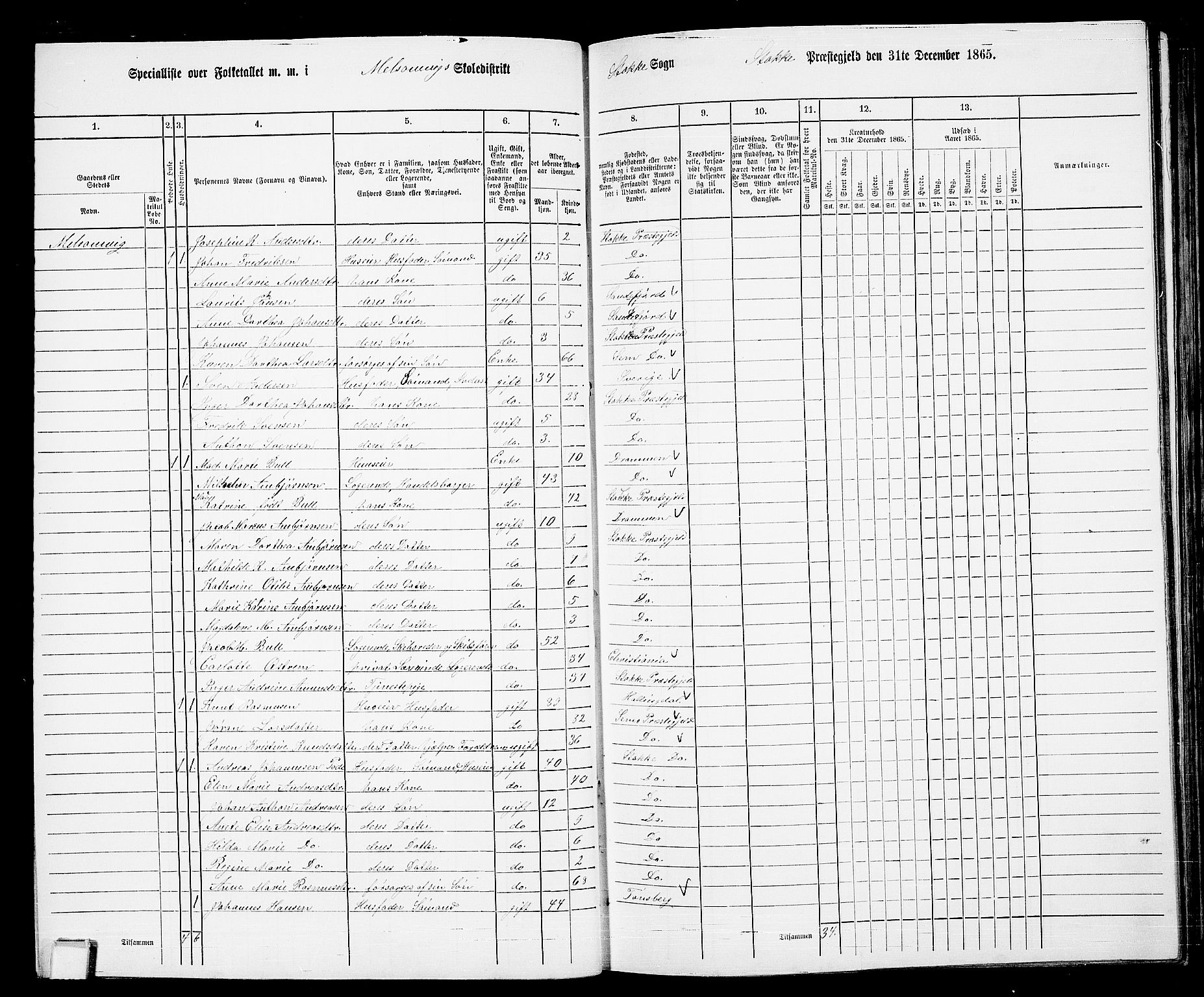 RA, 1865 census for Stokke, 1865, p. 41