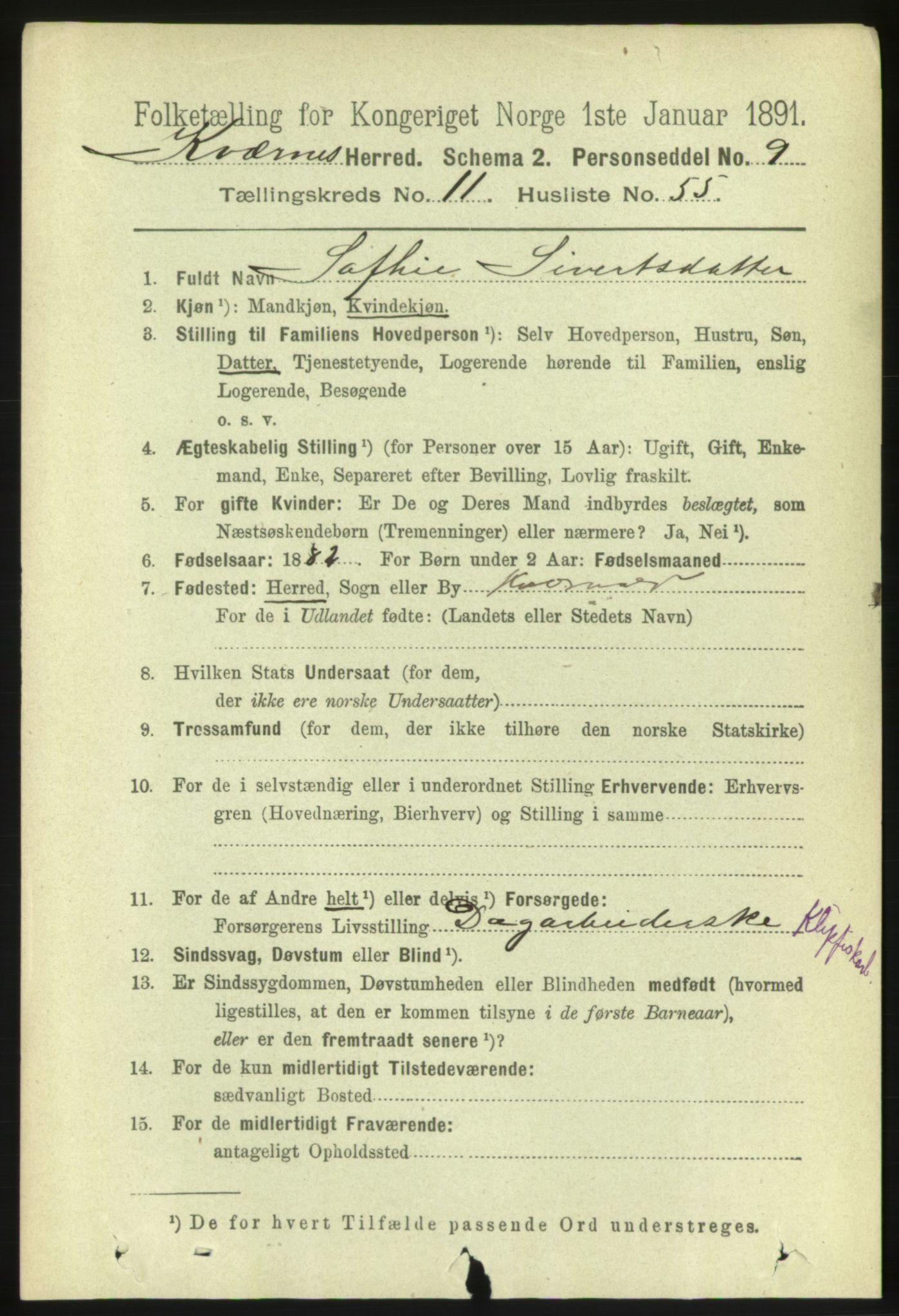 RA, 1891 census for 1553 Kvernes, 1891, p. 5160