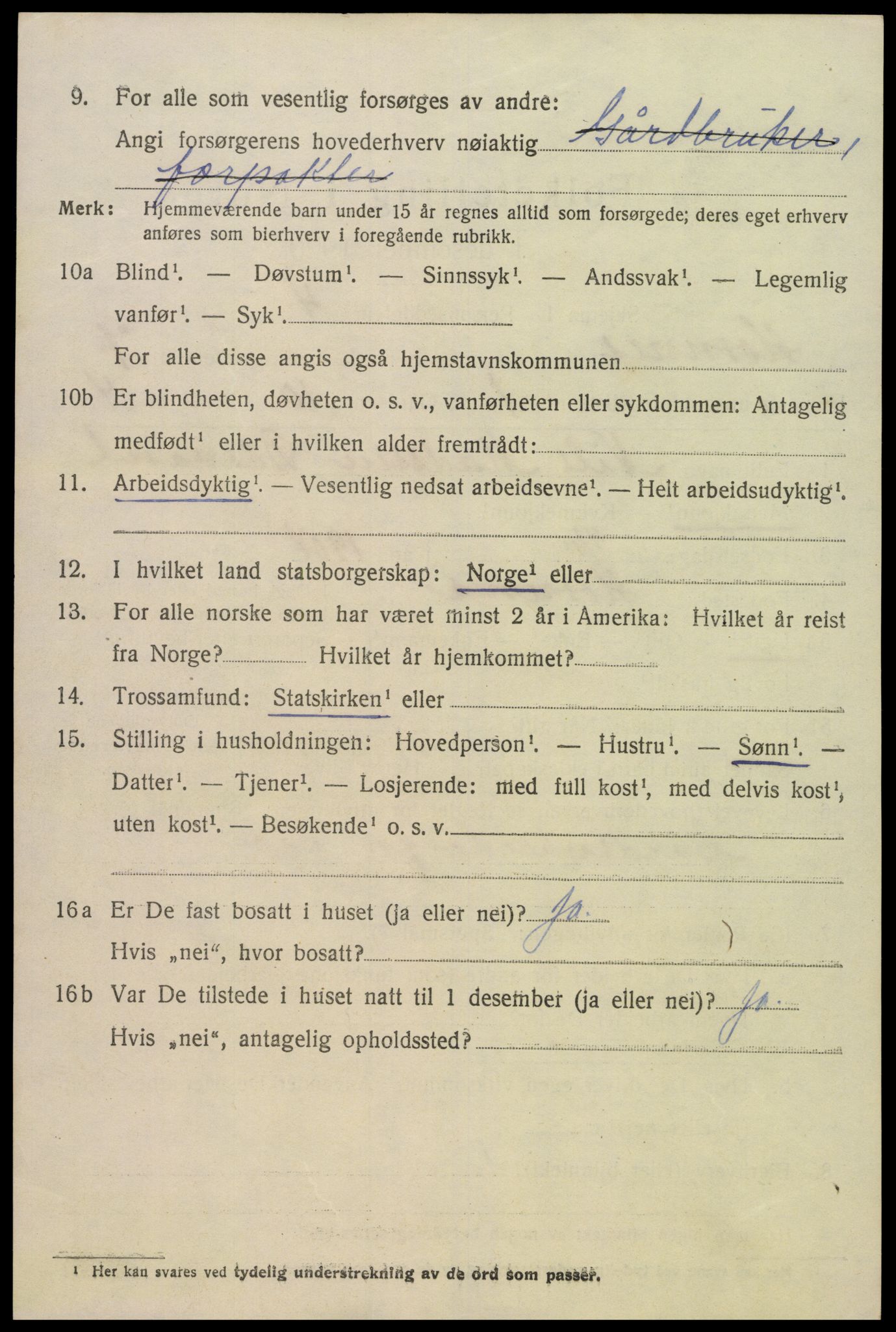 SAK, 1920 census for Hornnes, 1920, p. 1654