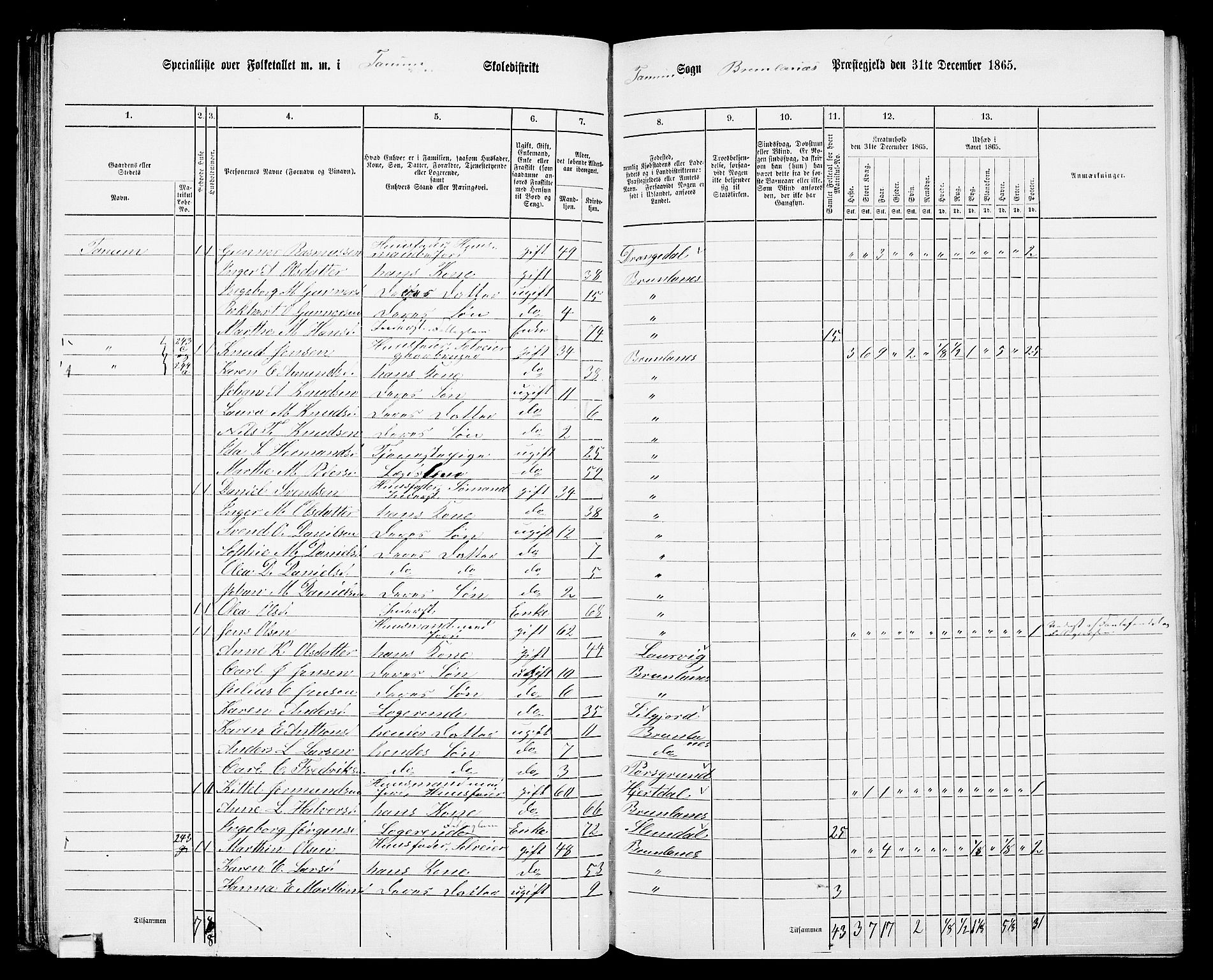 RA, 1865 census for Brunlanes, 1865, p. 65