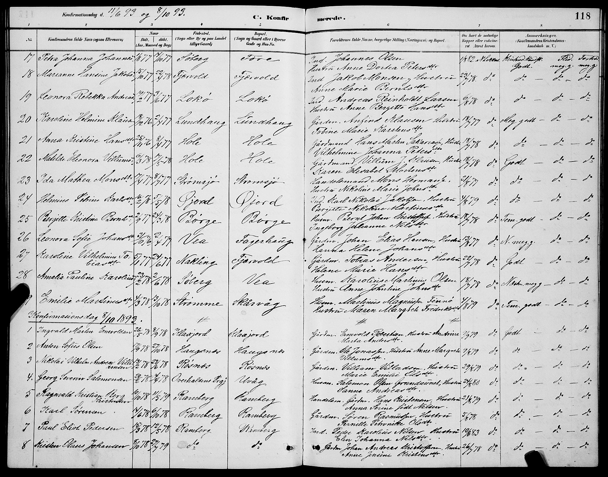 Ministerialprotokoller, klokkerbøker og fødselsregistre - Nordland, AV/SAT-A-1459/891/L1315: Parish register (copy) no. 891C04, 1886-1893, p. 118