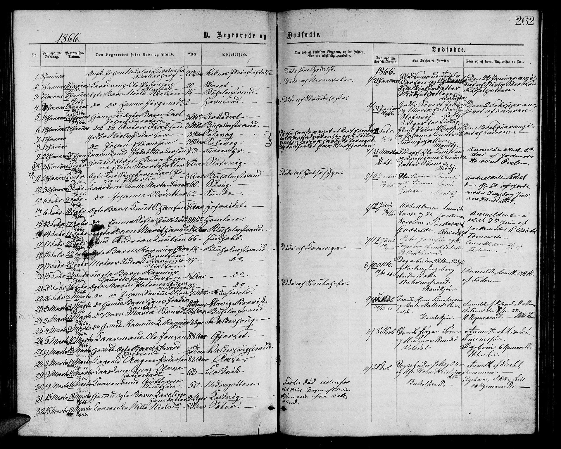 Ministerialprotokoller, klokkerbøker og fødselsregistre - Møre og Romsdal, AV/SAT-A-1454/528/L0428: Parish register (copy) no. 528C09, 1864-1880, p. 262