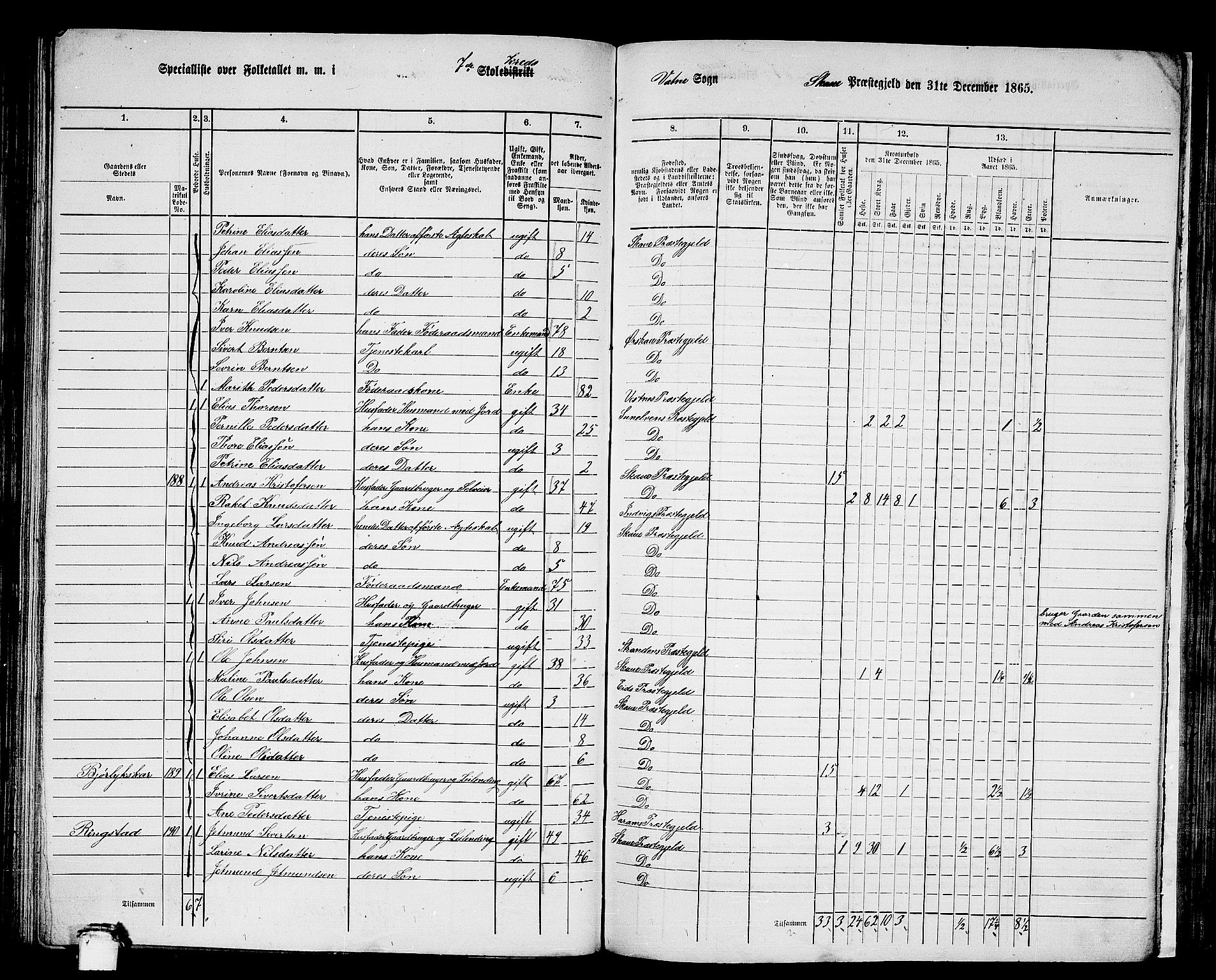 RA, 1865 census for Skodje, 1865, p. 101