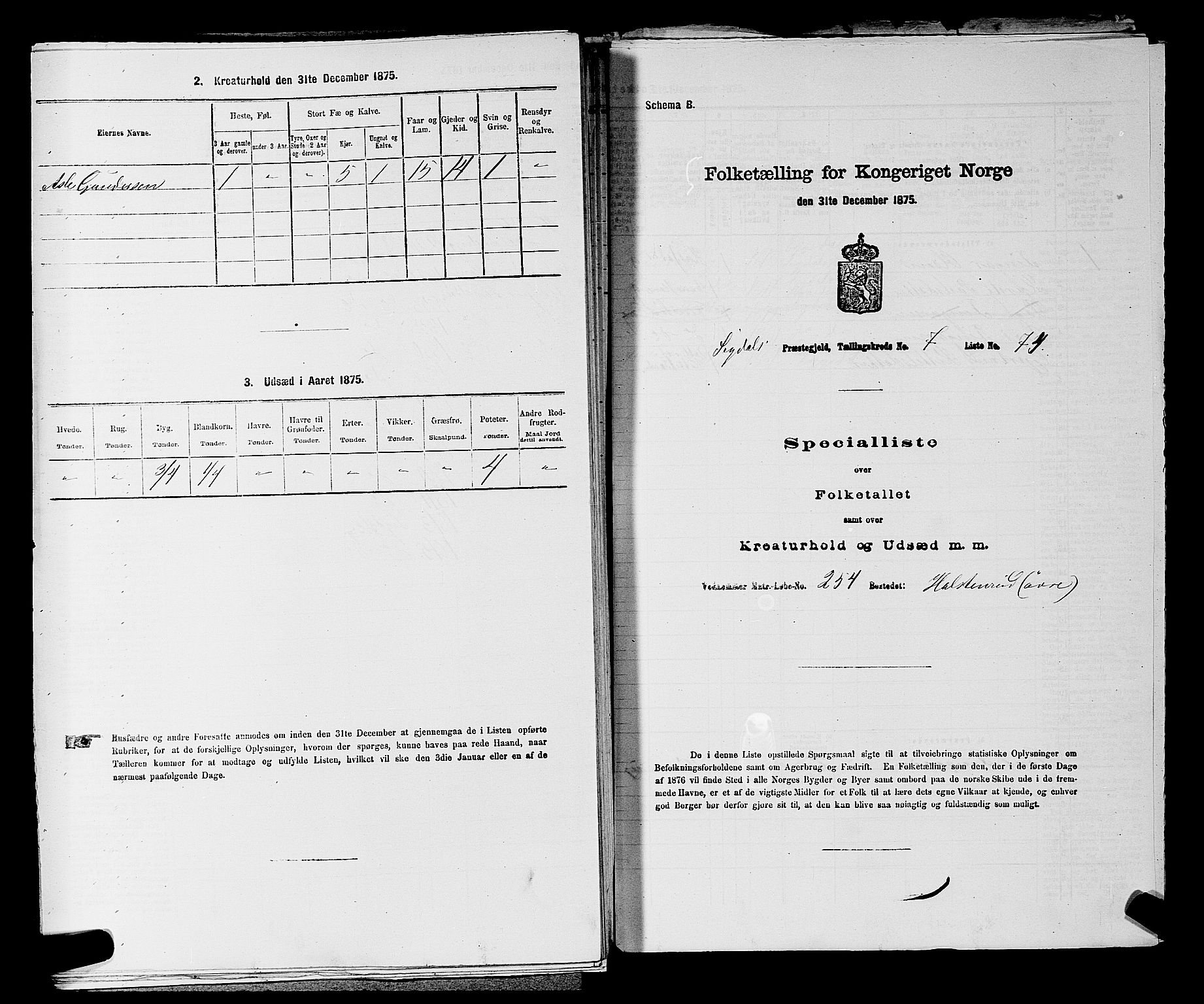 SAKO, 1875 census for 0621P Sigdal, 1875, p. 1145