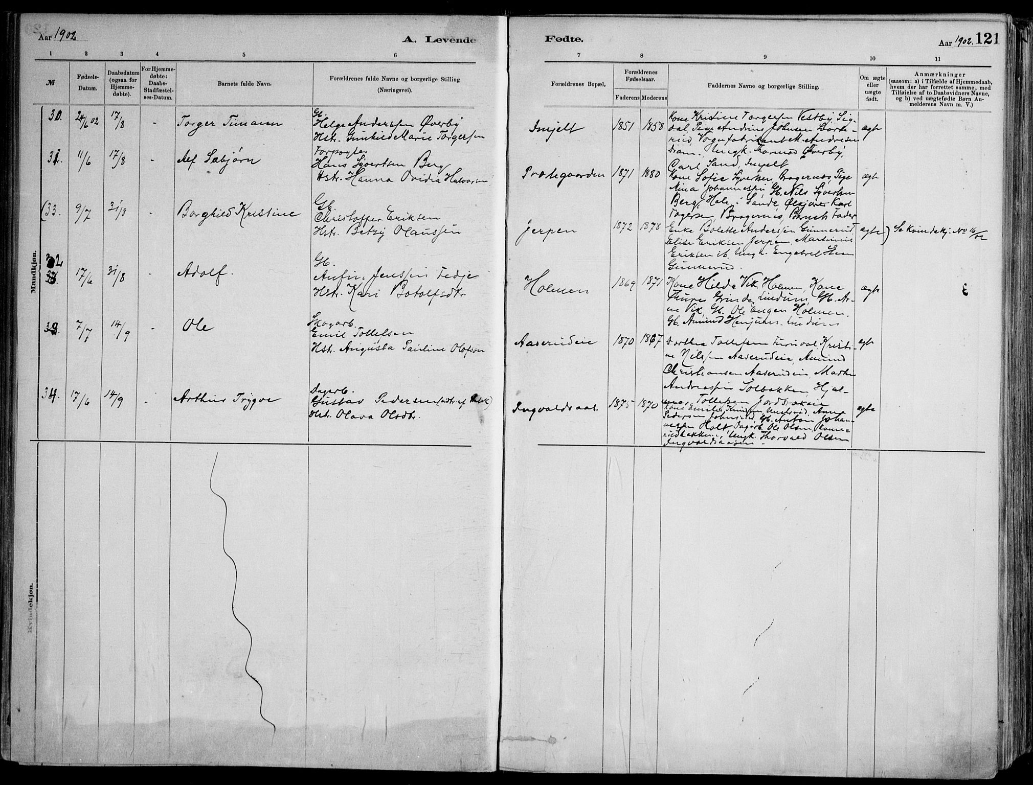 Skoger kirkebøker, AV/SAKO-A-59/F/Fa/L0006: Parish register (official) no. I 6, 1885-1910, p. 121