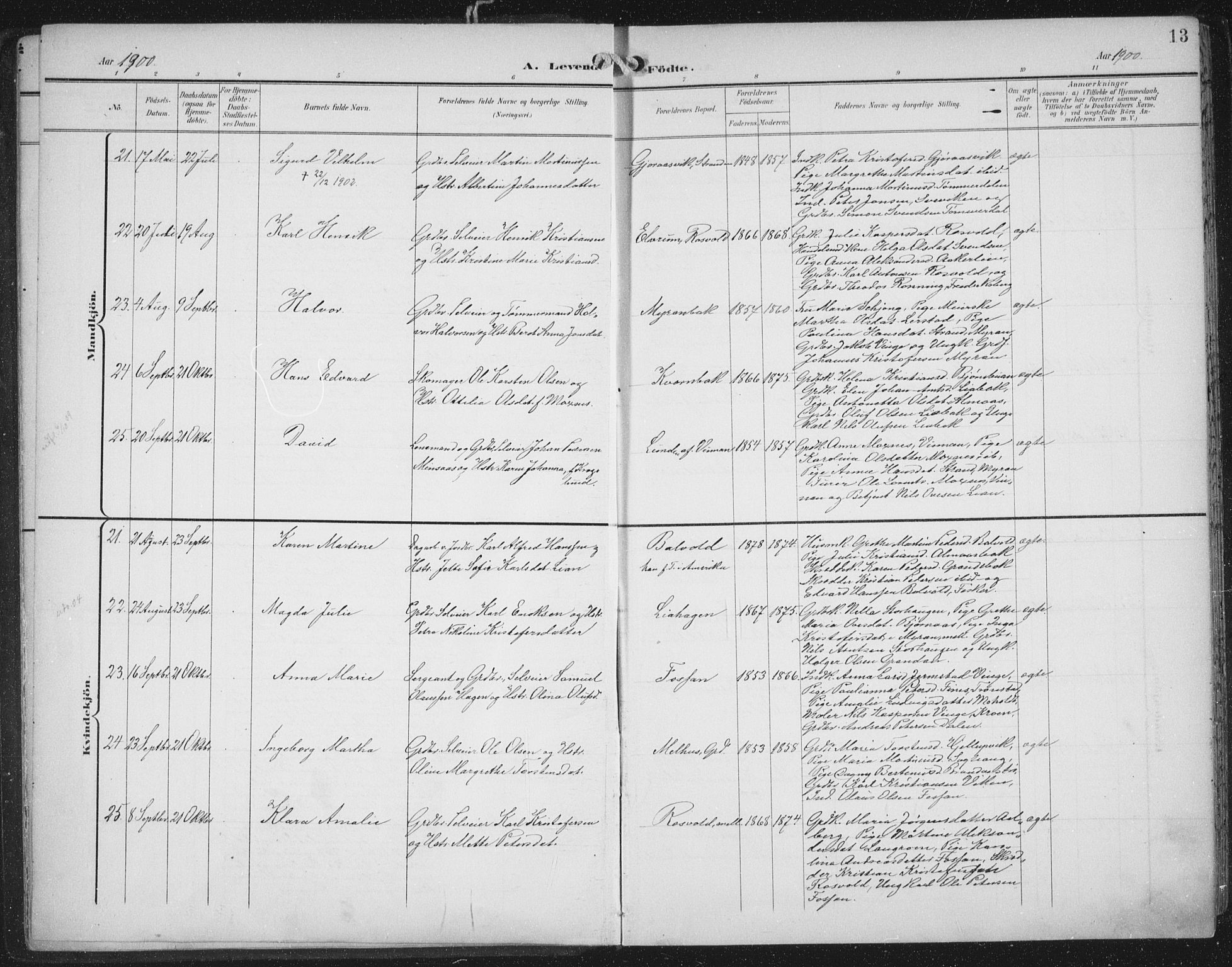 Ministerialprotokoller, klokkerbøker og fødselsregistre - Nord-Trøndelag, SAT/A-1458/701/L0011: Parish register (official) no. 701A11, 1899-1915, p. 13