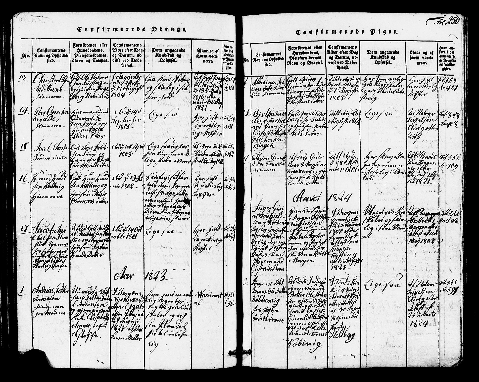 Avaldsnes sokneprestkontor, SAST/A -101851/H/Ha/Hab/L0001: Parish register (copy) no. B 1, 1816-1825, p. 250
