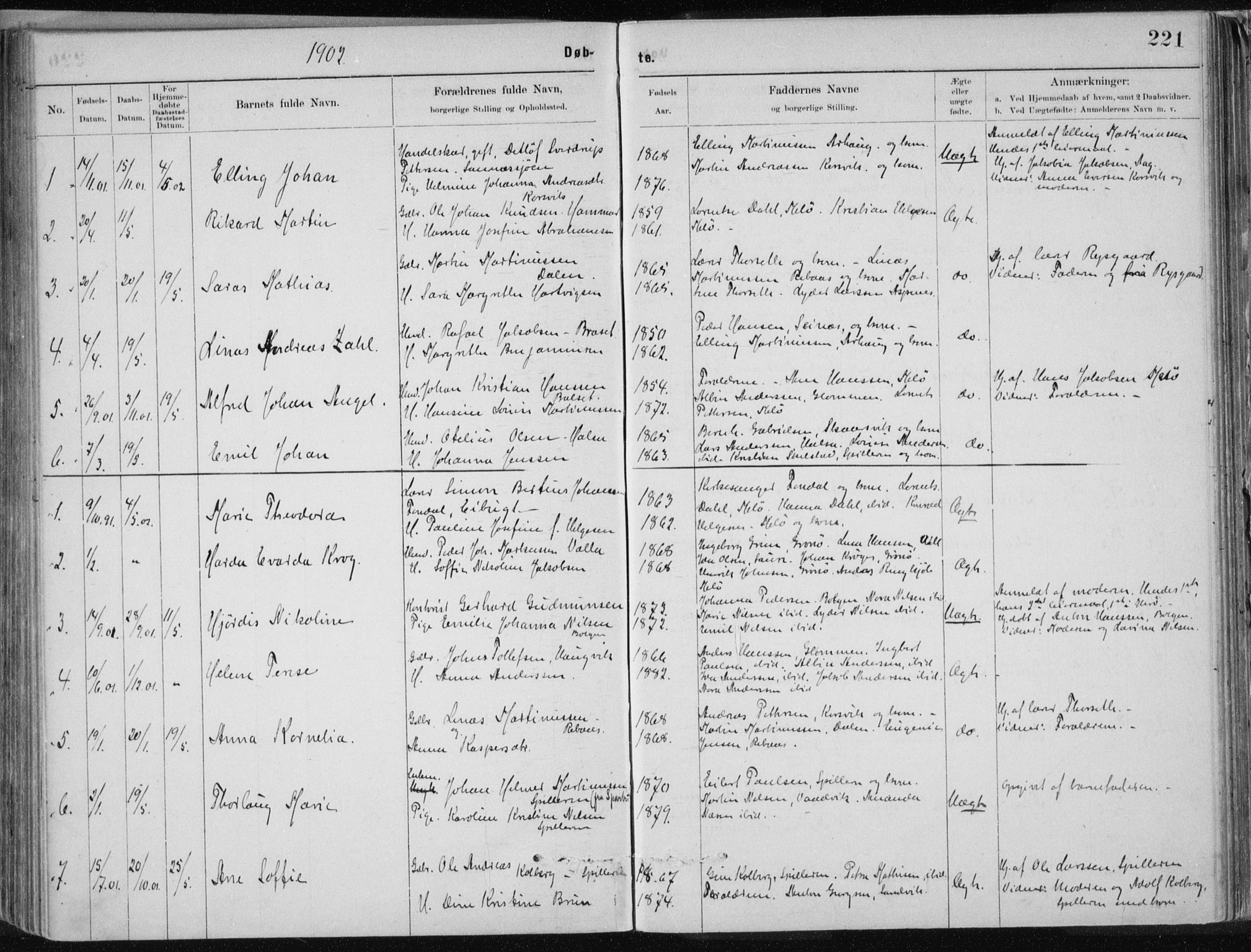 Ministerialprotokoller, klokkerbøker og fødselsregistre - Nordland, SAT/A-1459/843/L0636: Parish register (copy) no. 843C05, 1884-1909, p. 221