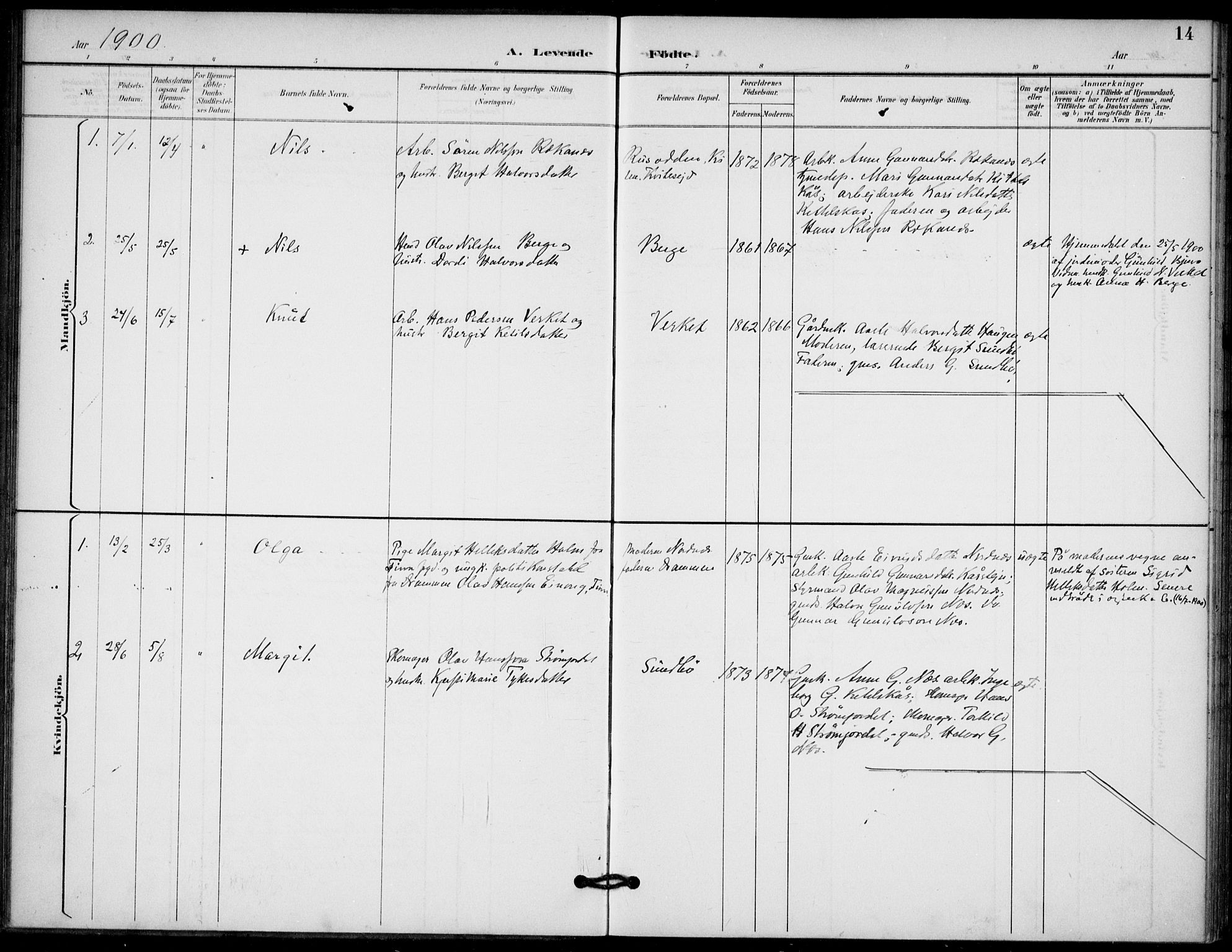 Lunde kirkebøker, AV/SAKO-A-282/F/Fb/L0004: Parish register (official) no. II 4, 1892-1907, p. 14