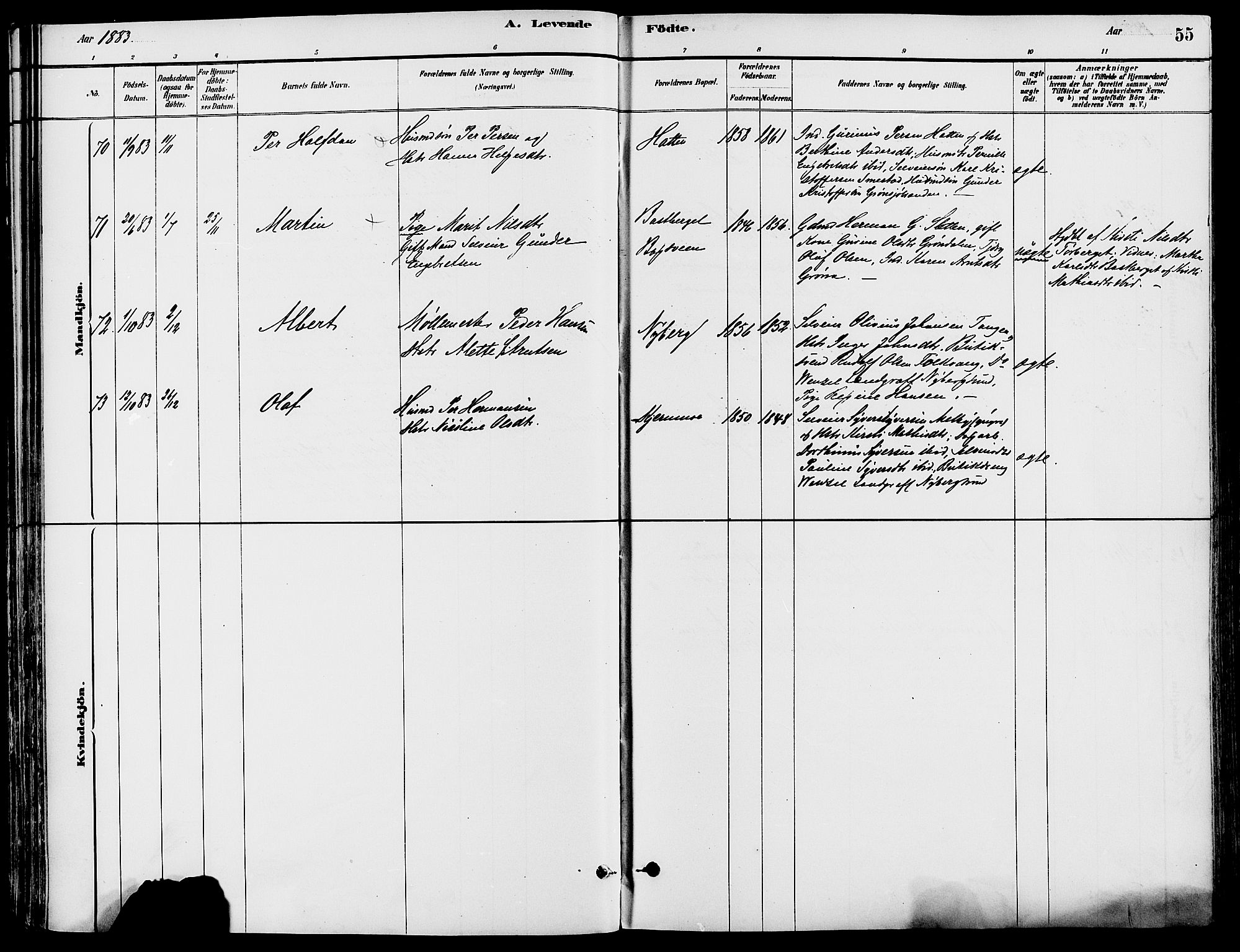 Trysil prestekontor, AV/SAH-PREST-046/H/Ha/Haa/L0008: Parish register (official) no. 8, 1881-1897, p. 55