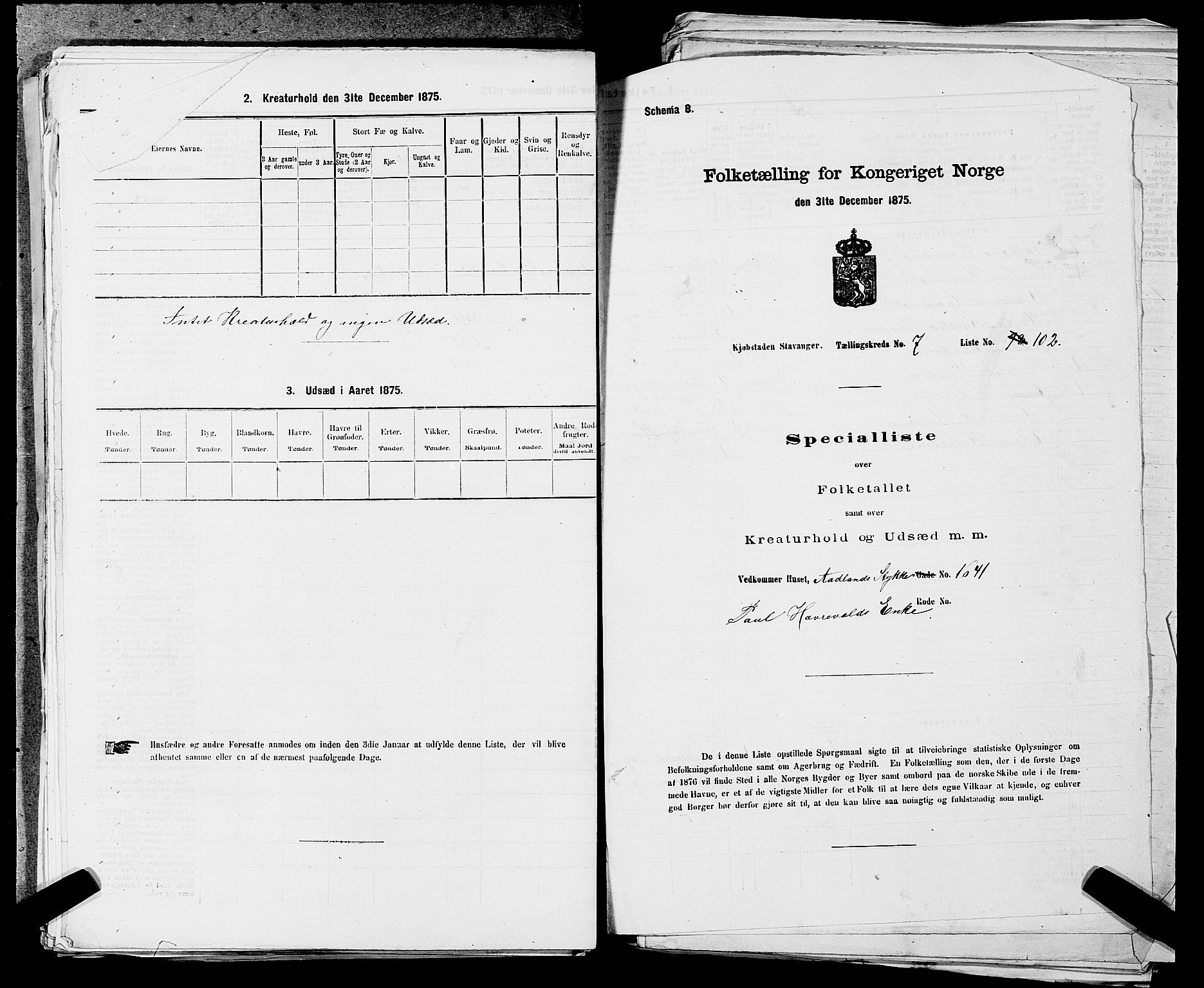 SAST, 1875 census for 1103 Stavanger, 1875, p. 1380