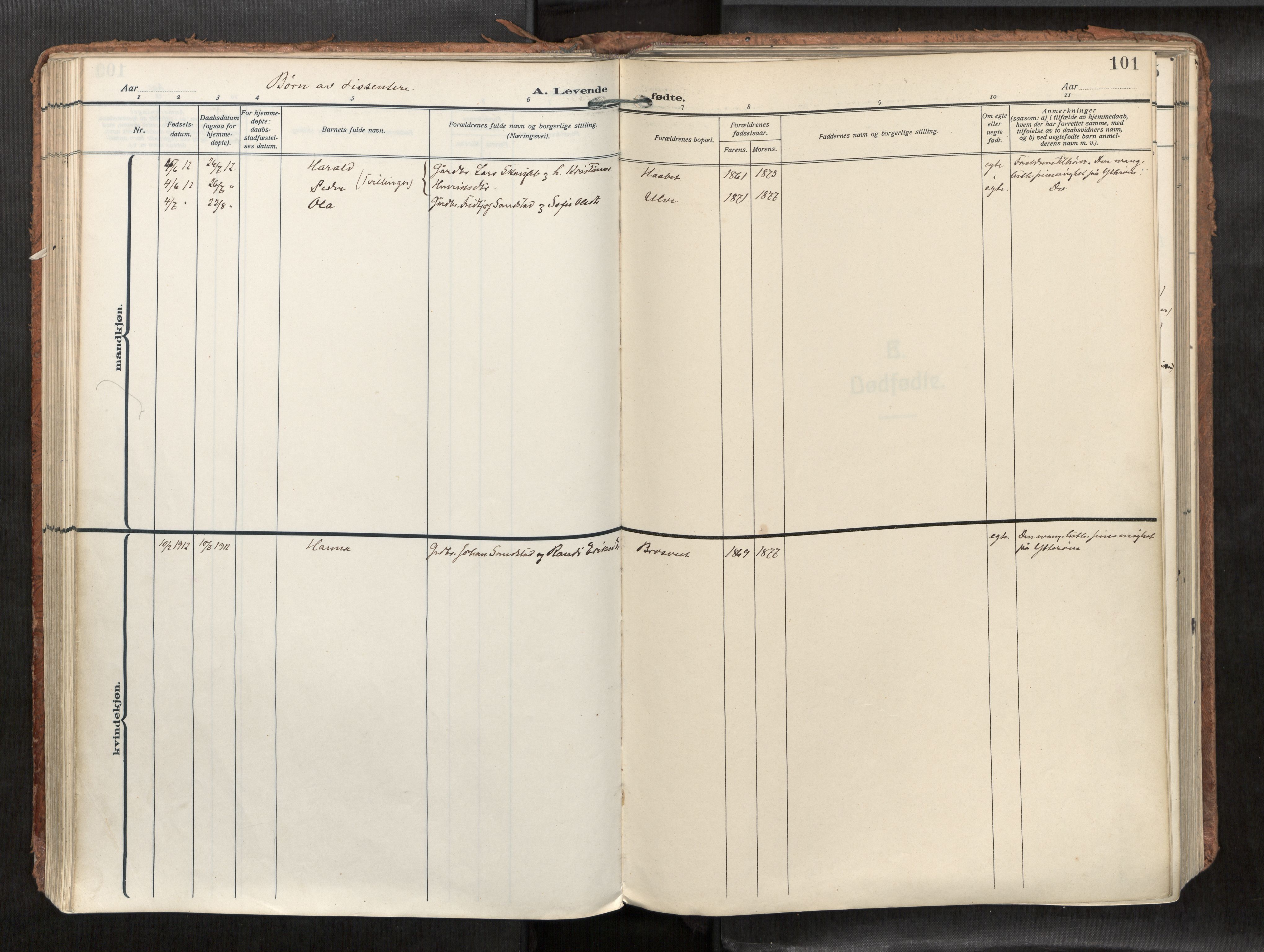 Levanger sokneprestkontor, SAT/A-1301/2/H/Haa/L0002: Parish register (official) no. 2, 1912-1935, p. 101