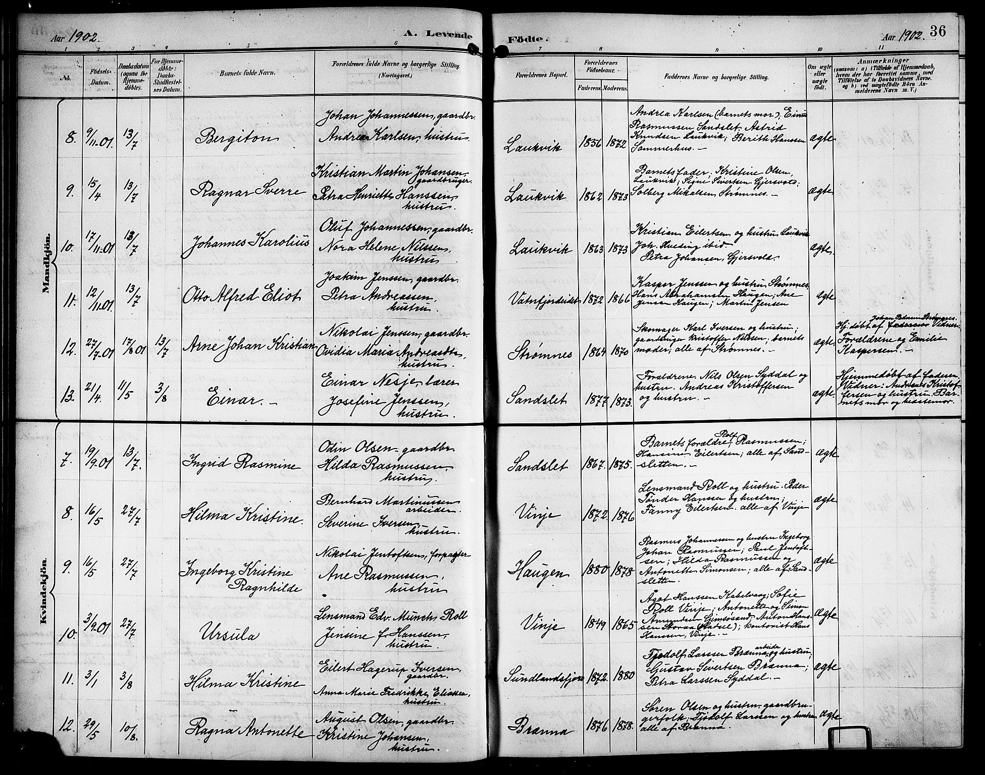 Ministerialprotokoller, klokkerbøker og fødselsregistre - Nordland, AV/SAT-A-1459/876/L1105: Parish register (copy) no. 876C04, 1896-1914, p. 36