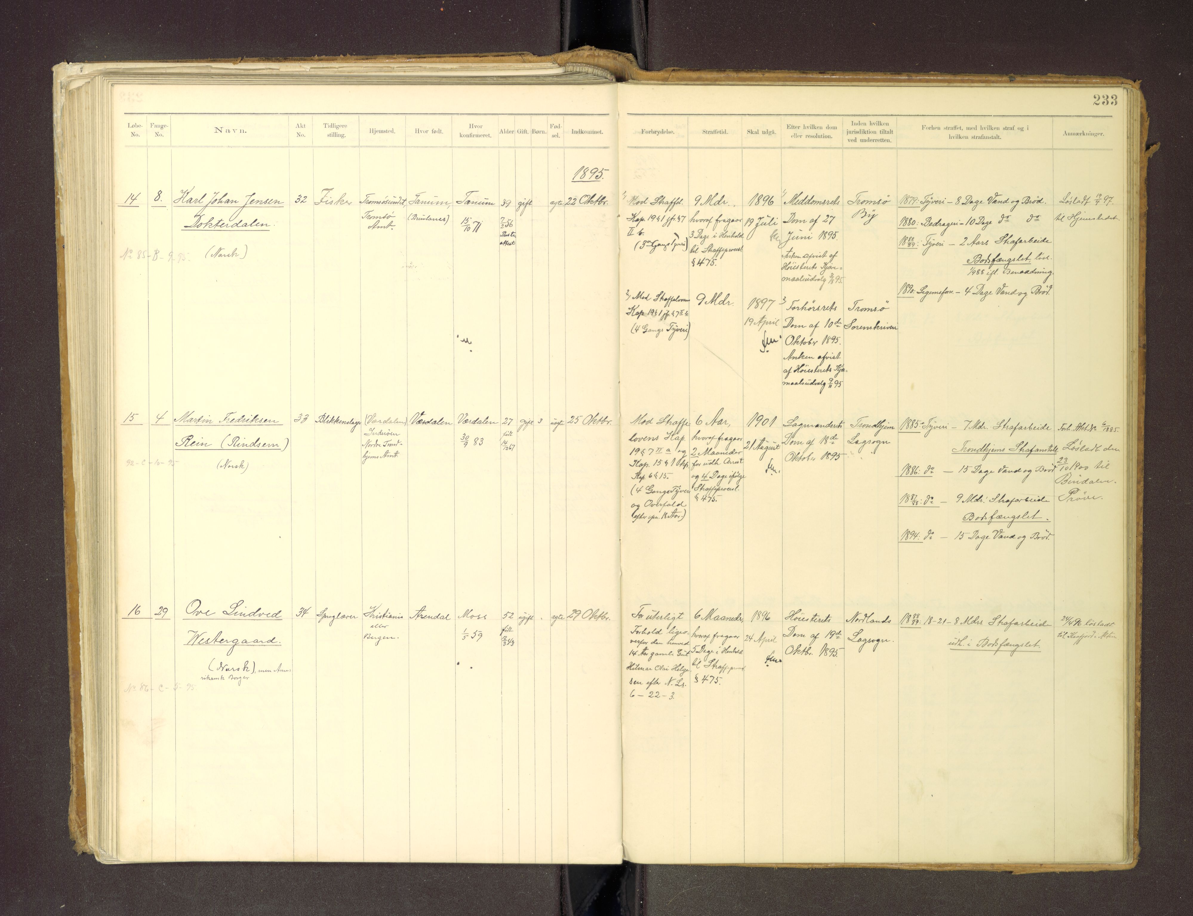 Trondheim tukthus, SAT/A-4619/05/65/L0036: 65.36 Fangeprotokoll m/reg, 1885-1898, p. 233