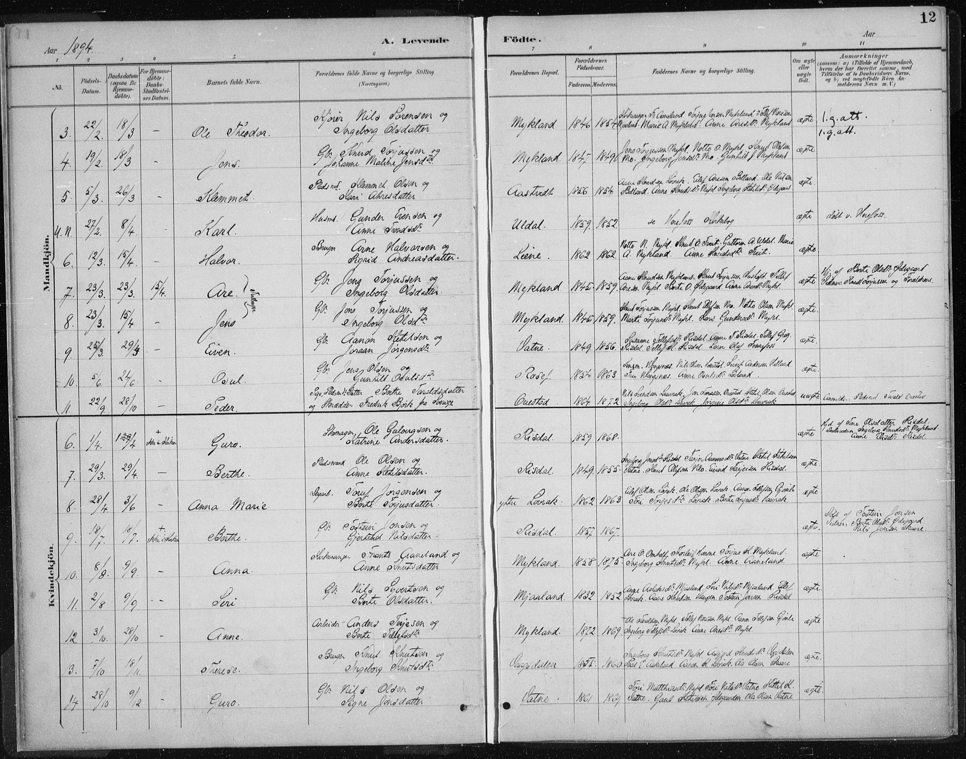 Herefoss sokneprestkontor, SAK/1111-0019/F/Fa/Fac/L0002: Parish register (official) no. A 2, 1887-1915, p. 12