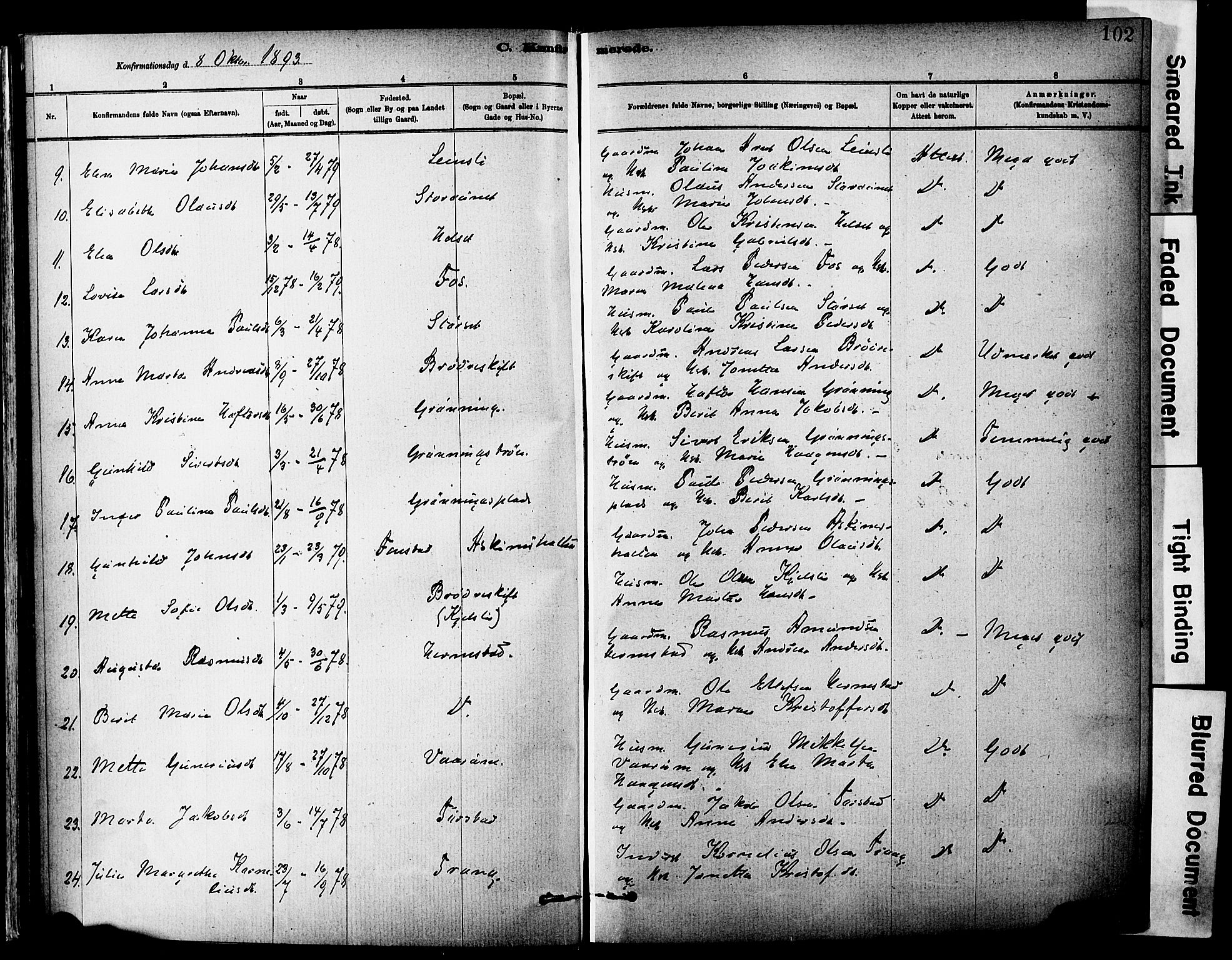 Ministerialprotokoller, klokkerbøker og fødselsregistre - Sør-Trøndelag, AV/SAT-A-1456/646/L0615: Parish register (official) no. 646A13, 1885-1900, p. 102
