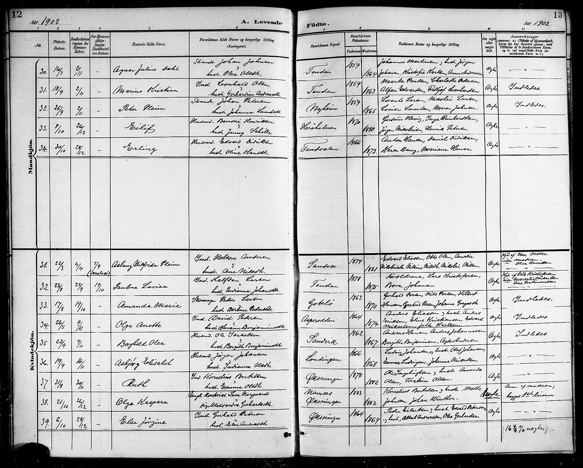 Ministerialprotokoller, klokkerbøker og fødselsregistre - Nordland, AV/SAT-A-1459/834/L0516: Parish register (copy) no. 834C06, 1902-1918, p. 12-13