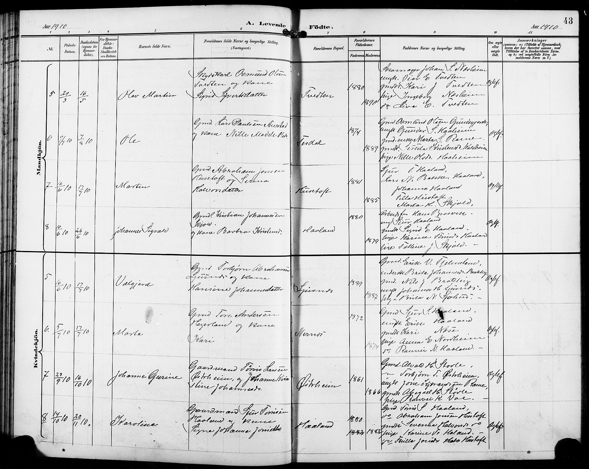 Etne sokneprestembete, SAB/A-75001/H/Hab: Parish register (copy) no. C 5, 1896-1920, p. 43