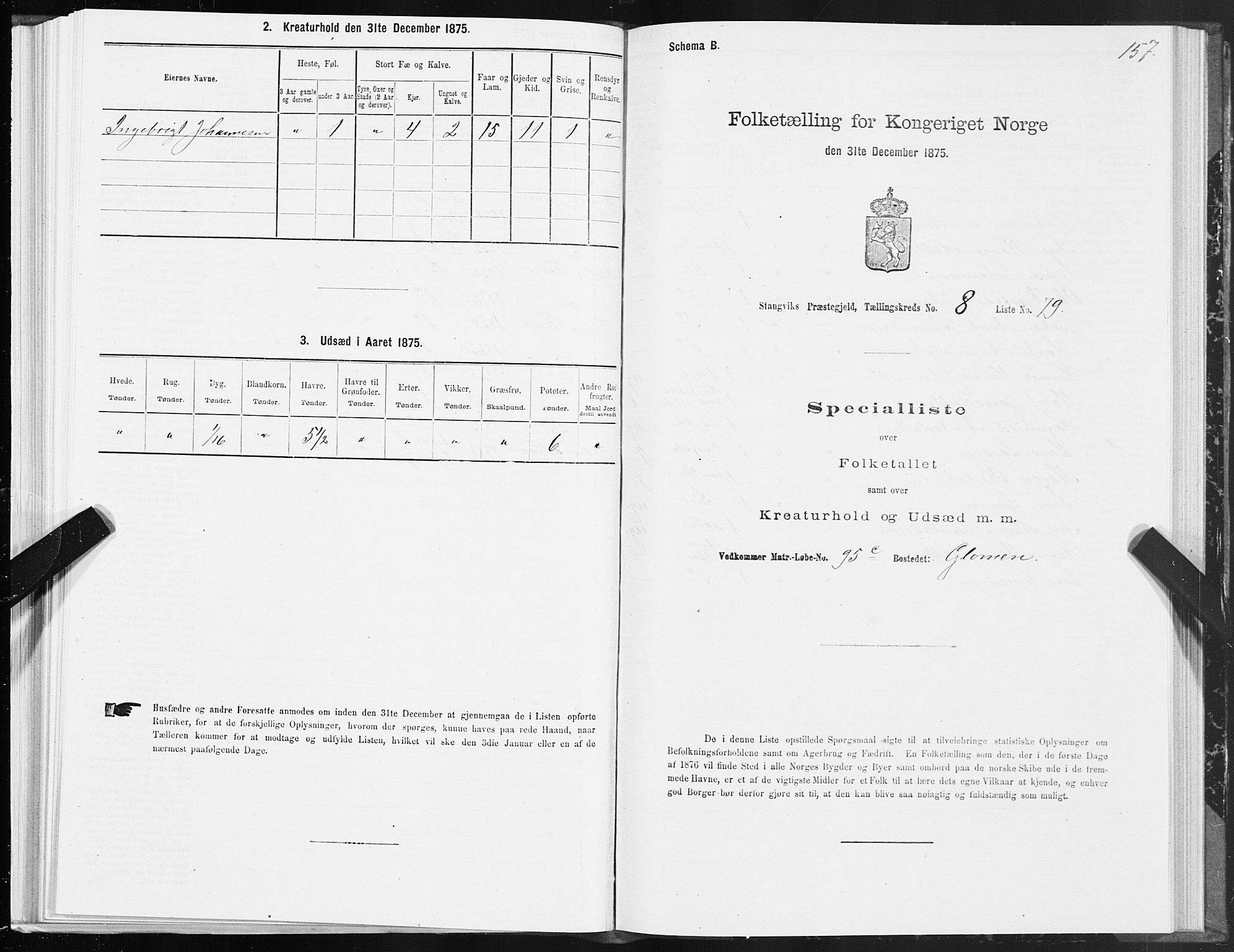 SAT, 1875 census for 1564P Stangvik, 1875, p. 4157