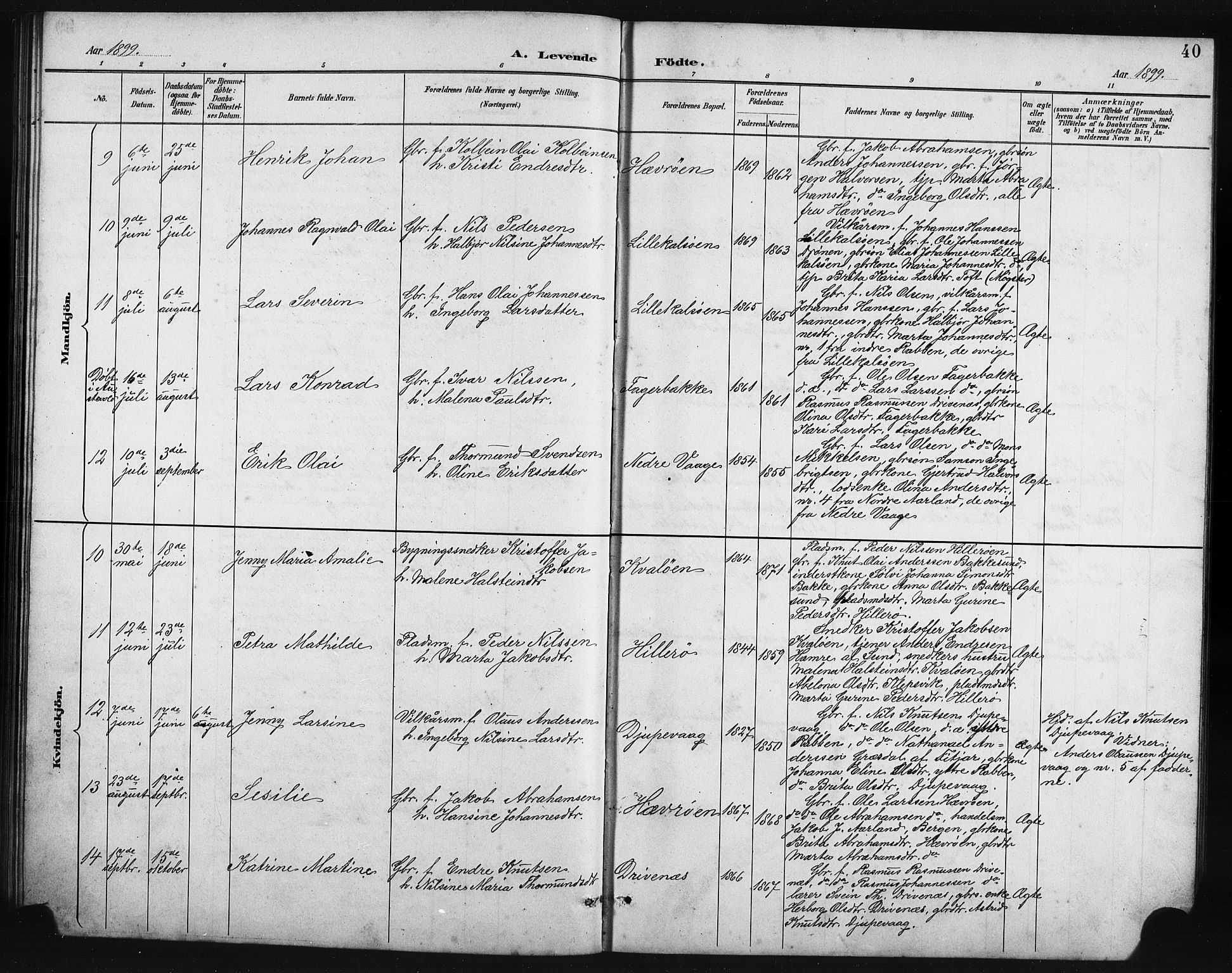 Austevoll Sokneprestembete, SAB/A-74201/H/Hab: Parish register (copy) no. B 4, 1889-1901, p. 40