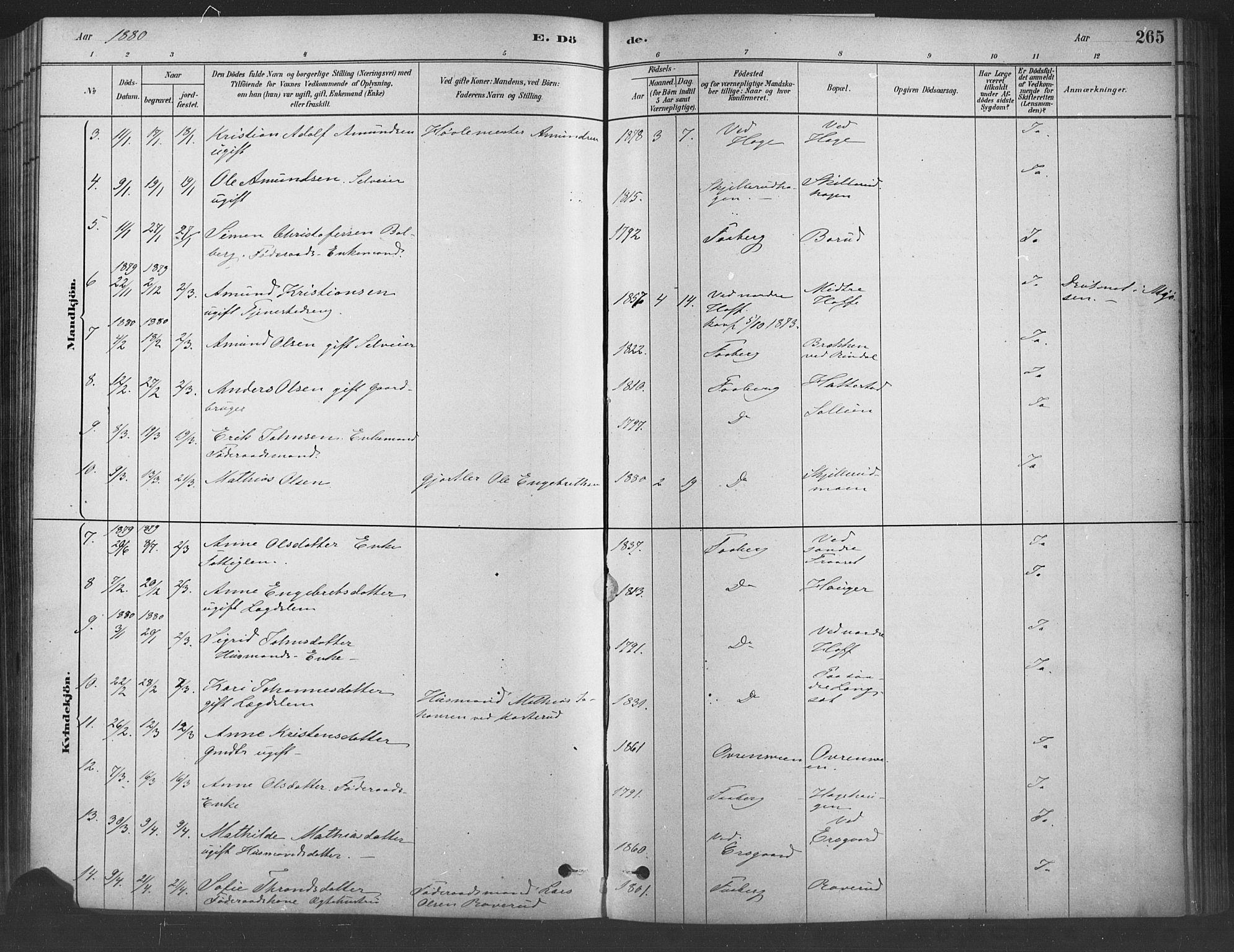 Fåberg prestekontor, AV/SAH-PREST-086/H/Ha/Haa/L0009: Parish register (official) no. 9, 1879-1898, p. 265