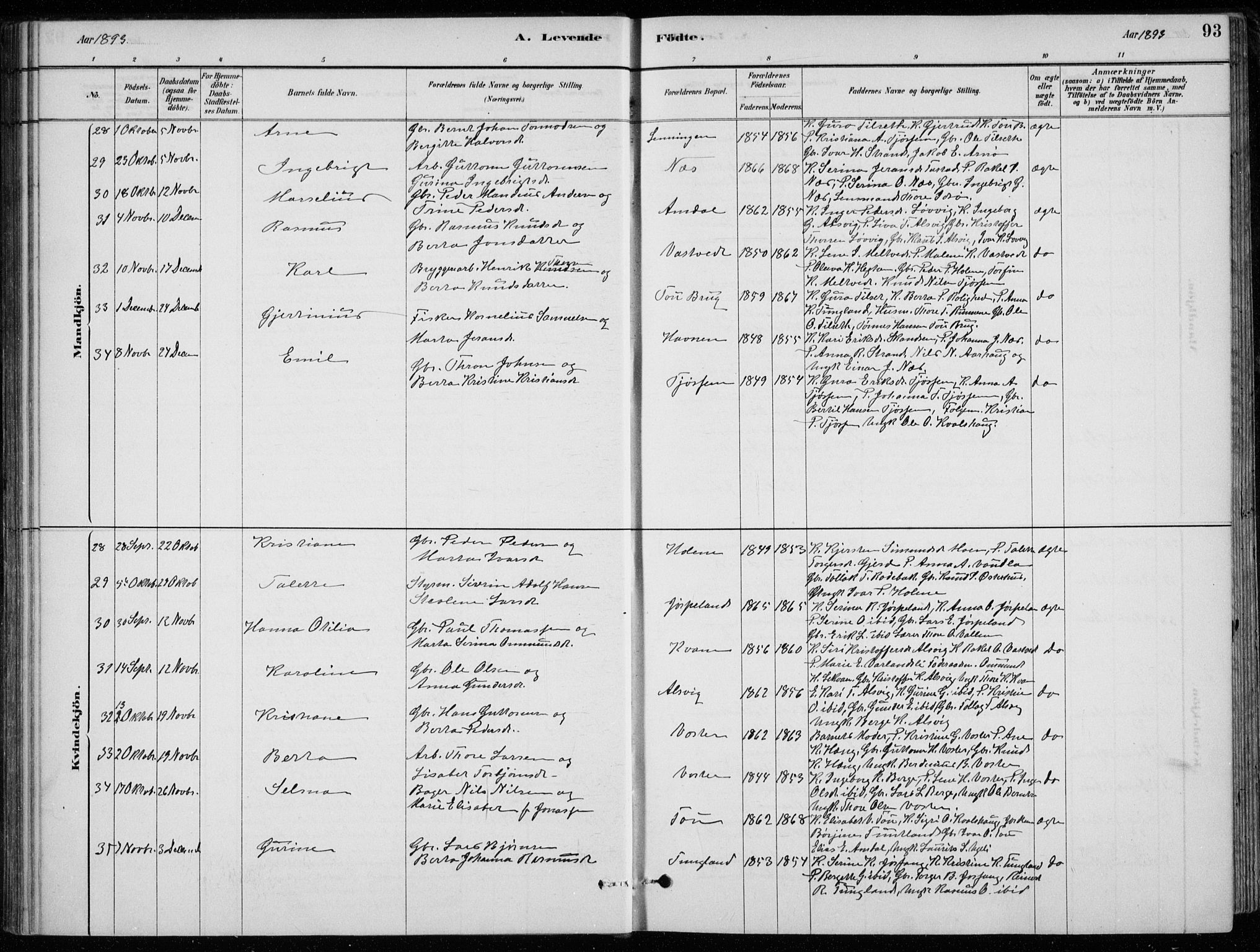 Strand sokneprestkontor, AV/SAST-A-101828/H/Ha/Hab/L0004: Parish register (copy) no. B 4, 1878-1903, p. 93