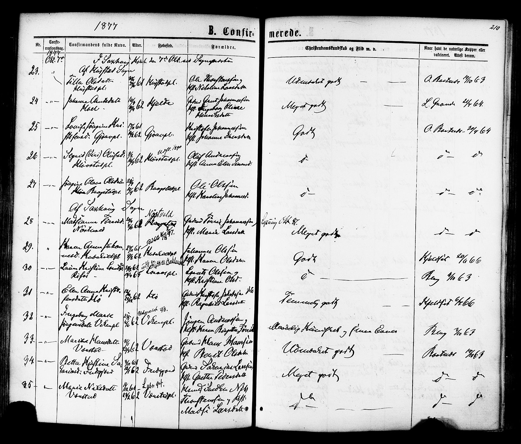 Ministerialprotokoller, klokkerbøker og fødselsregistre - Nord-Trøndelag, AV/SAT-A-1458/730/L0284: Parish register (official) no. 730A09, 1866-1878, p. 210