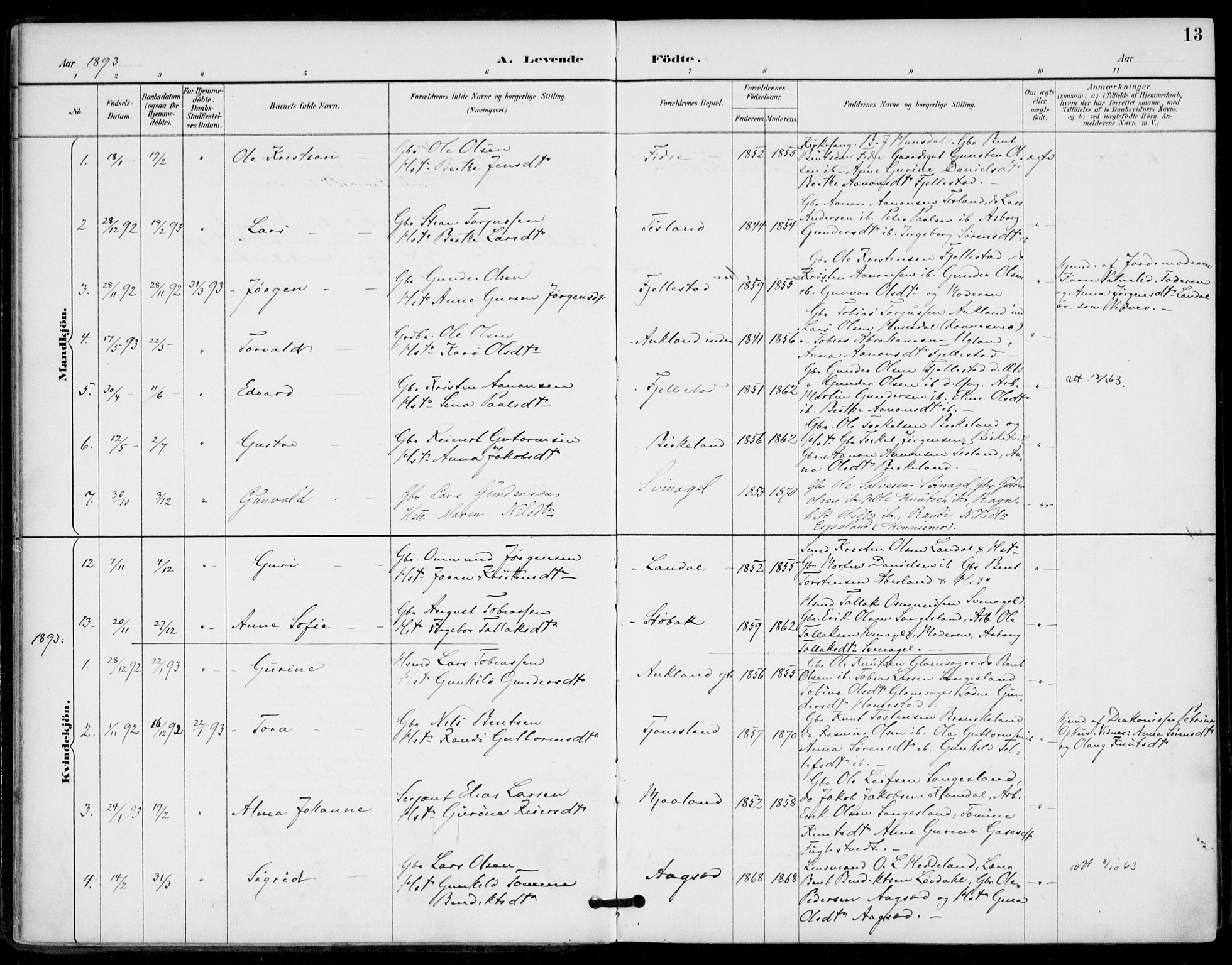 Holum sokneprestkontor, AV/SAK-1111-0022/F/Fa/Fab/L0007: Parish register (official) no. A 7, 1887-1912, p. 13