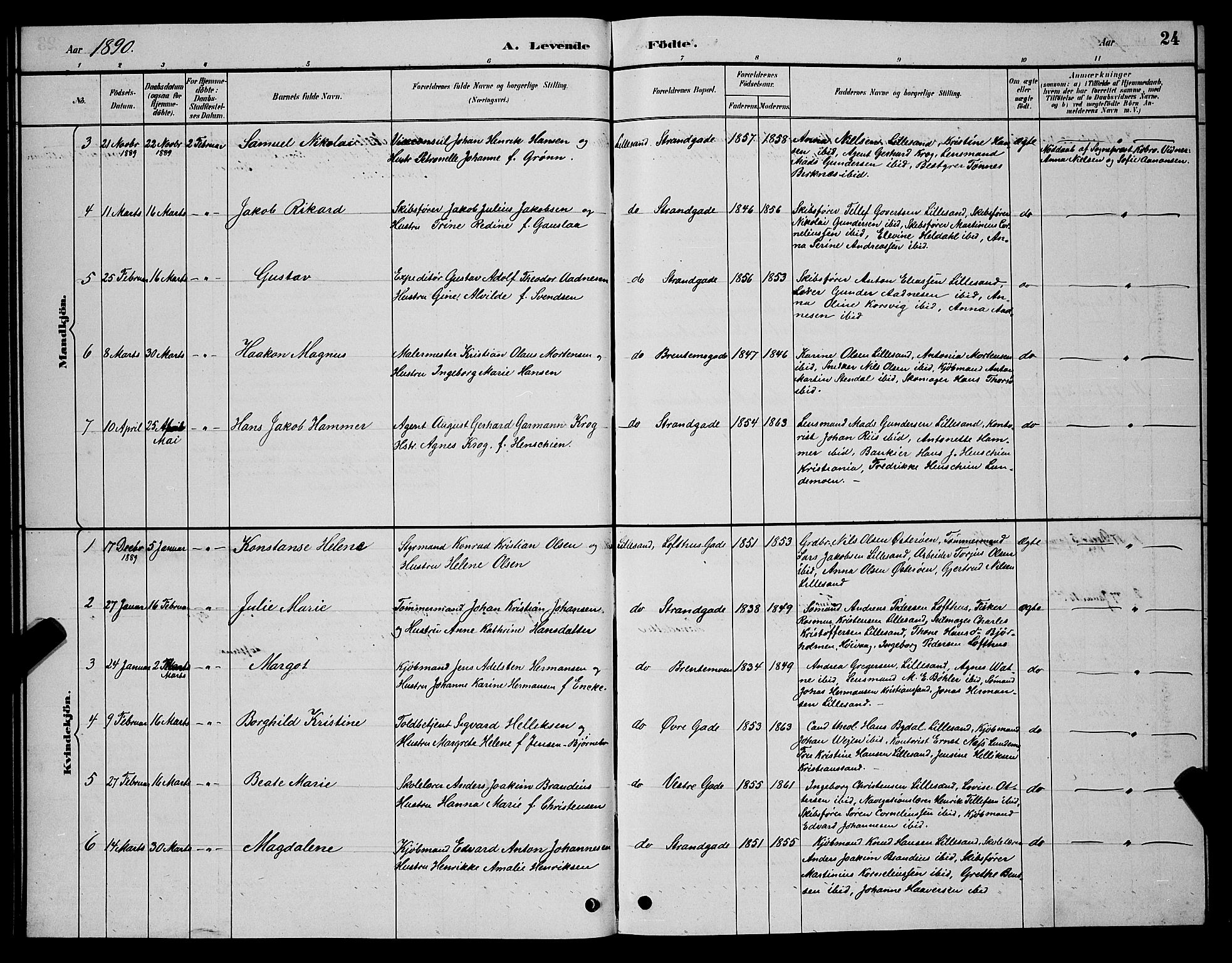 Vestre Moland sokneprestkontor, AV/SAK-1111-0046/F/Fb/Fba/L0001: Parish register (copy) no. B 1, 1884-1903, p. 24
