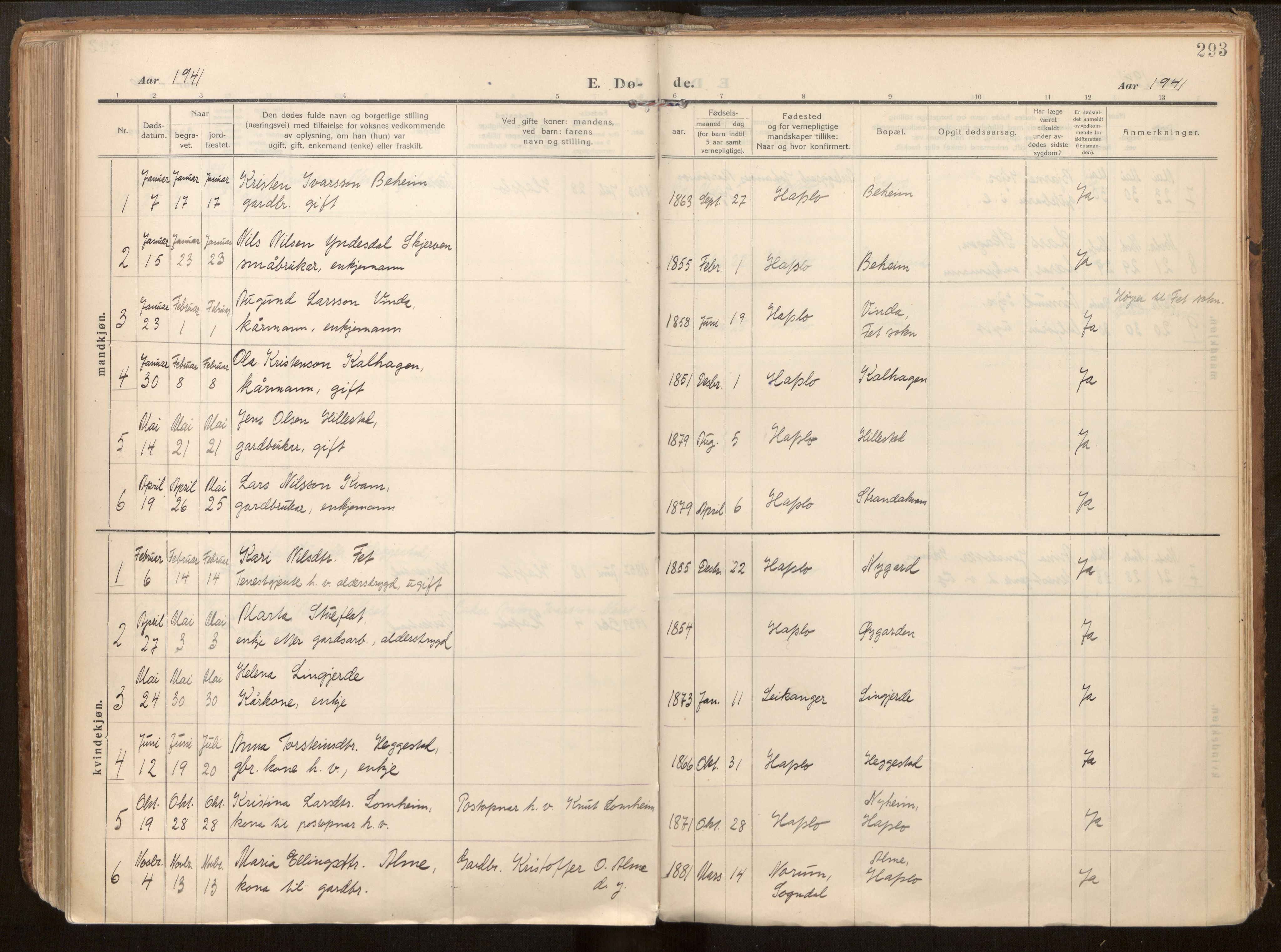 Hafslo sokneprestembete, SAB/A-80301/H/Haa/Haab/L0002: Parish register (official) no. B 2, 1914-1951, p. 293