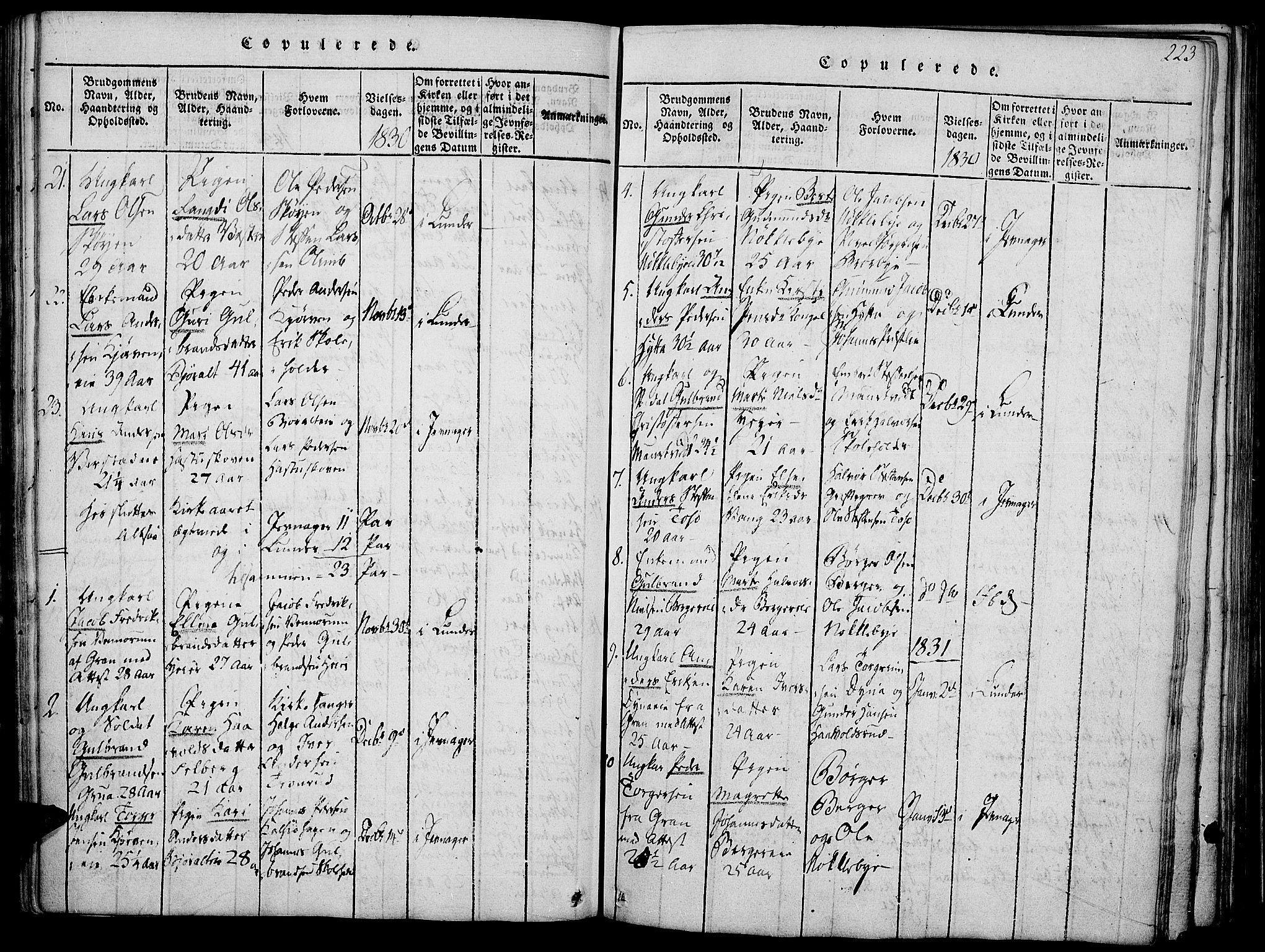 Jevnaker prestekontor, SAH/PREST-116/H/Ha/Haa/L0005: Parish register (official) no. 5, 1815-1837, p. 223