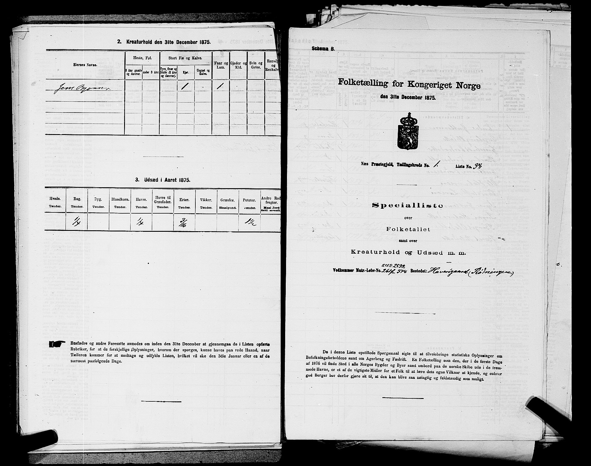 SAKO, 1875 census for 0616P Nes, 1875, p. 271