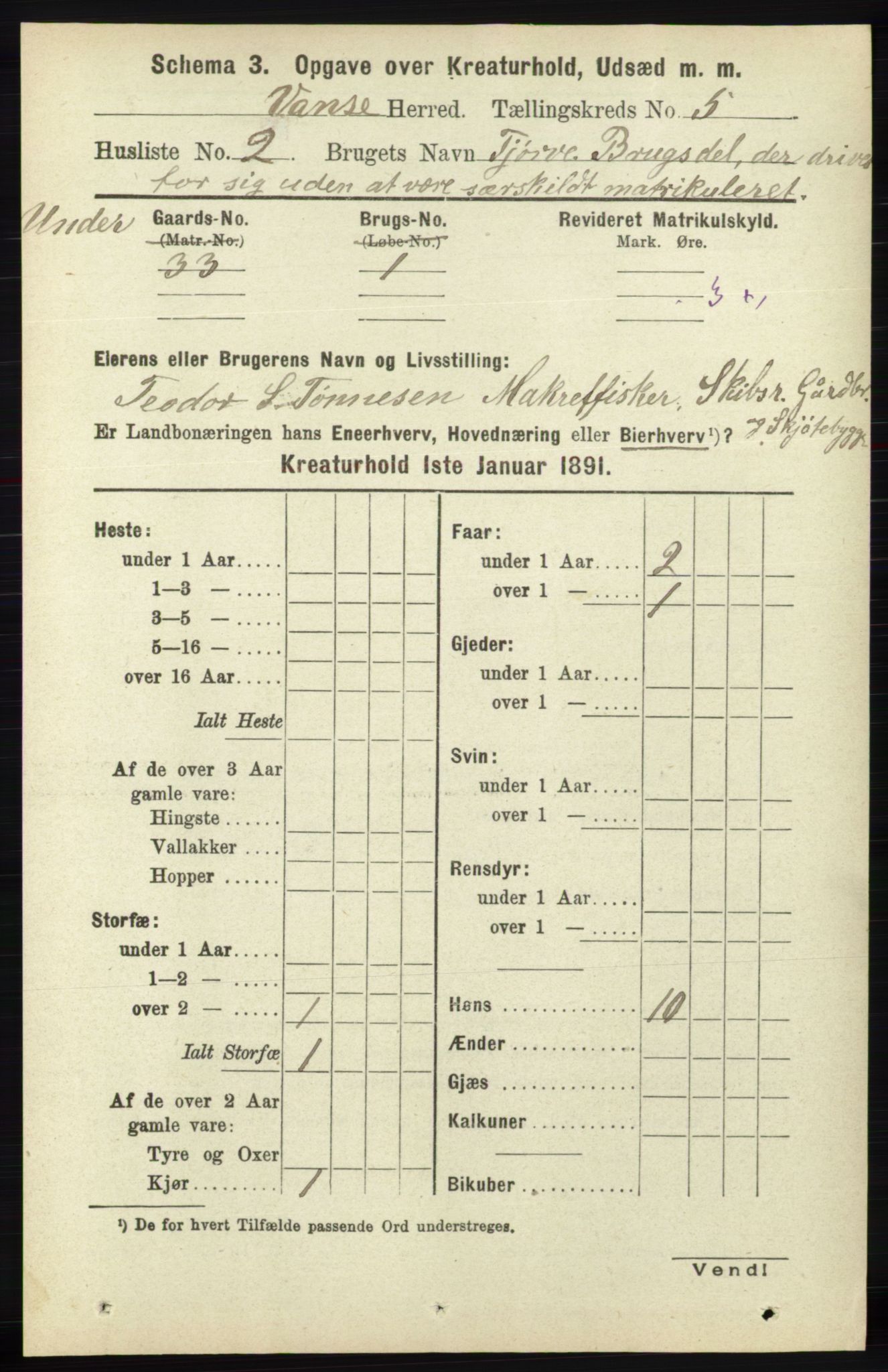 RA, 1891 census for 1041 Vanse, 1891, p. 8737