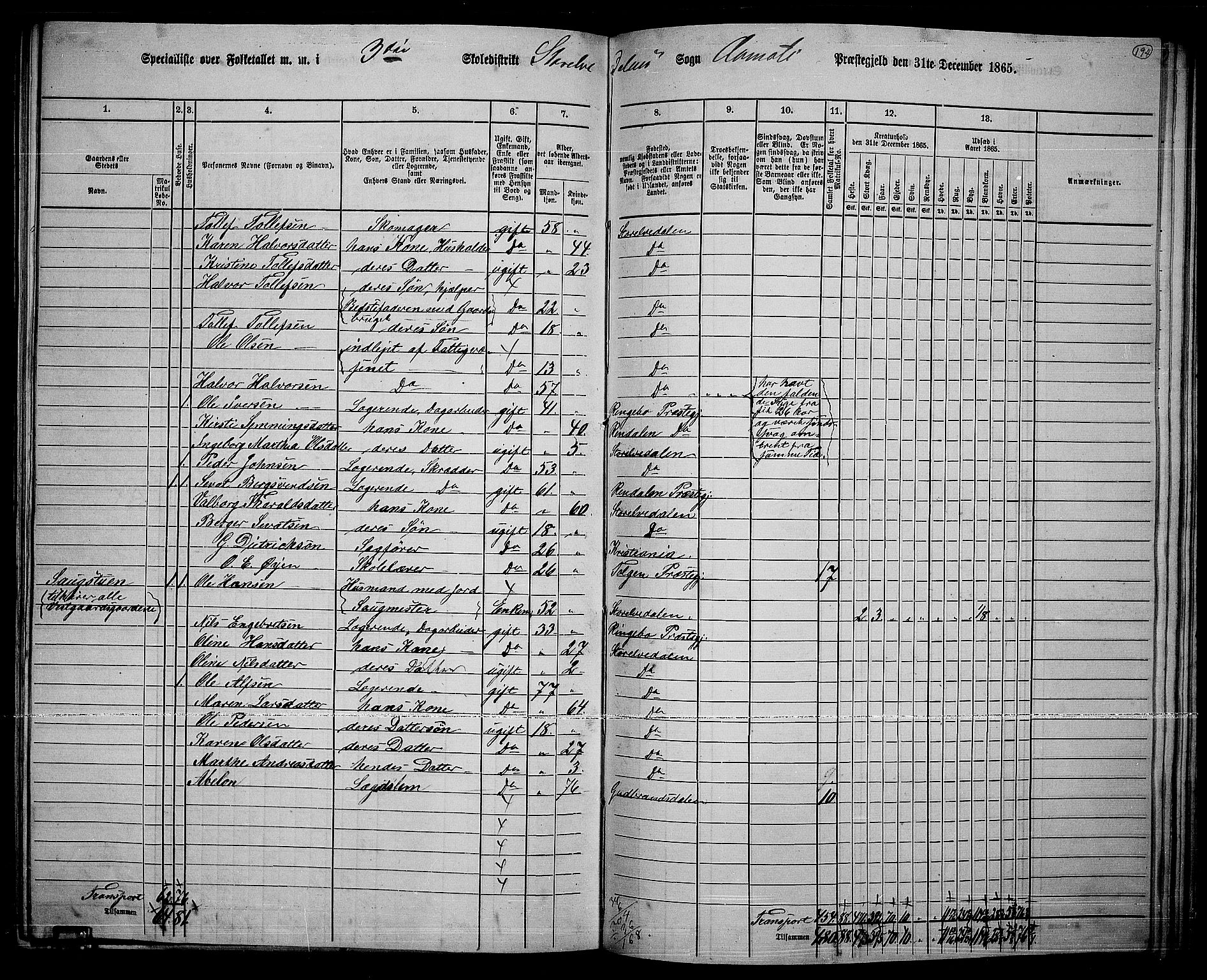 RA, 1865 census for Åmot, 1865, p. 170