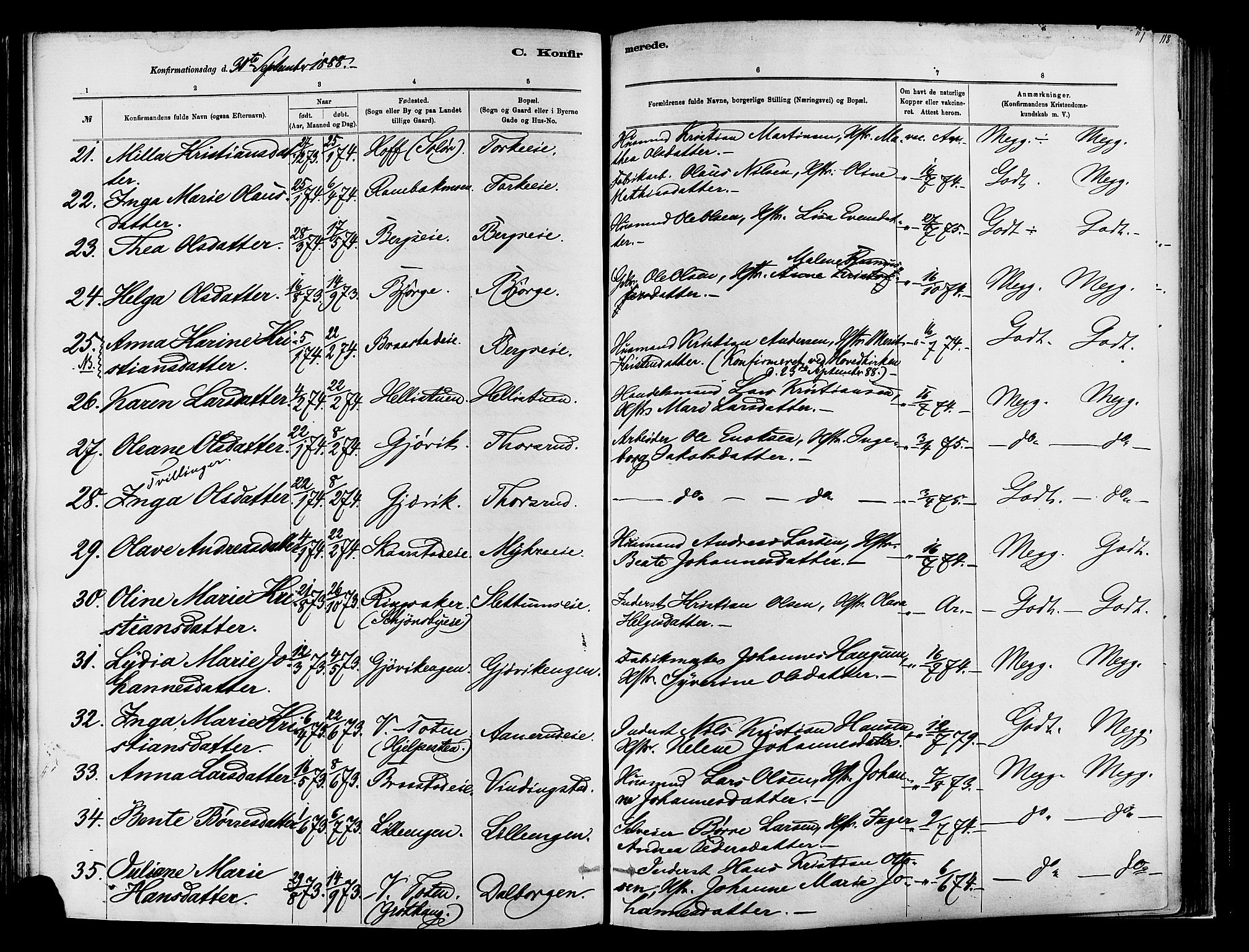 Vardal prestekontor, SAH/PREST-100/H/Ha/Haa/L0009: Parish register (official) no. 9, 1878-1892, p. 117