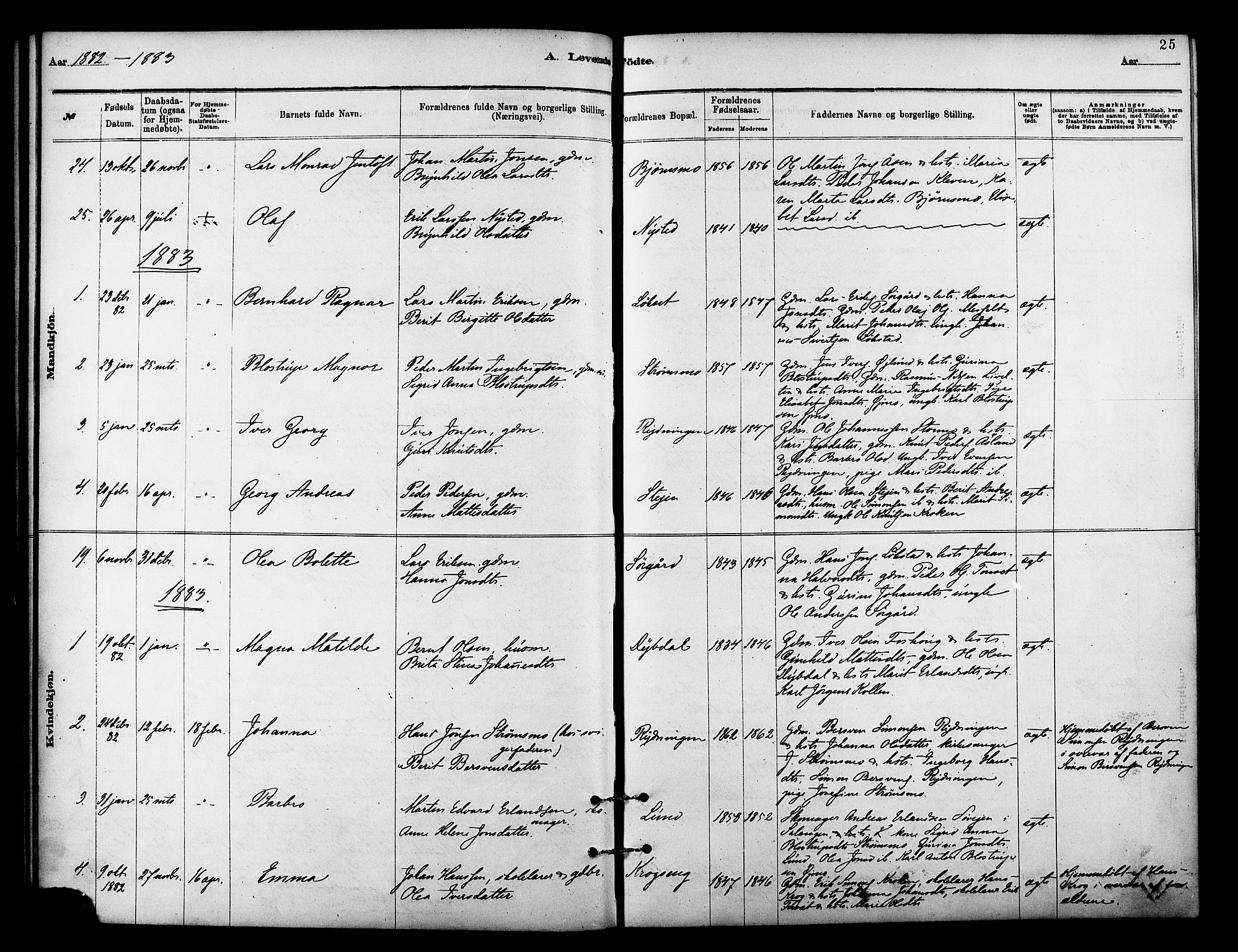 Målselv sokneprestembete, SATØ/S-1311/G/Ga/Gaa/L0009kirke: Parish register (official) no. 9, 1878-1889, p. 25