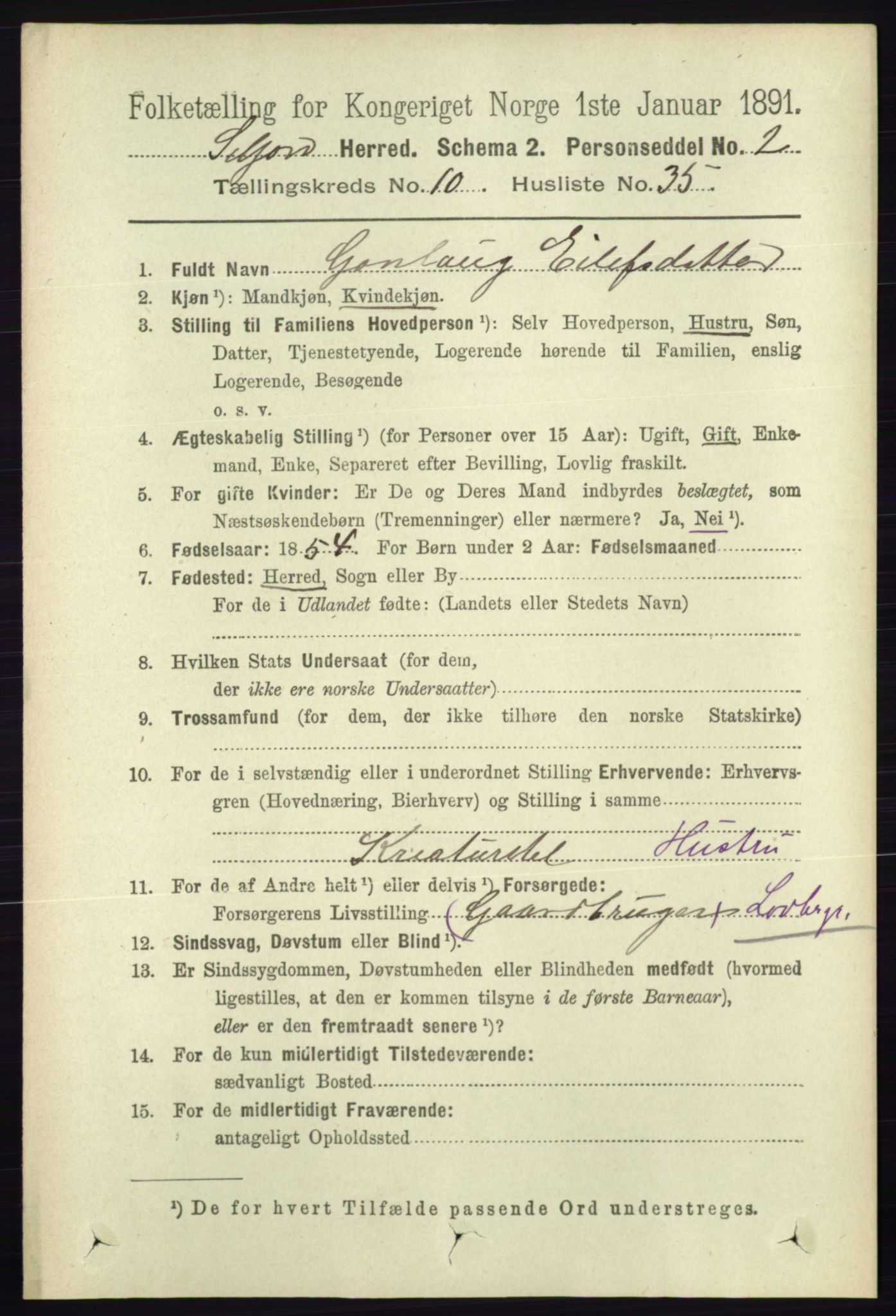 RA, 1891 census for 0828 Seljord, 1891, p. 3664