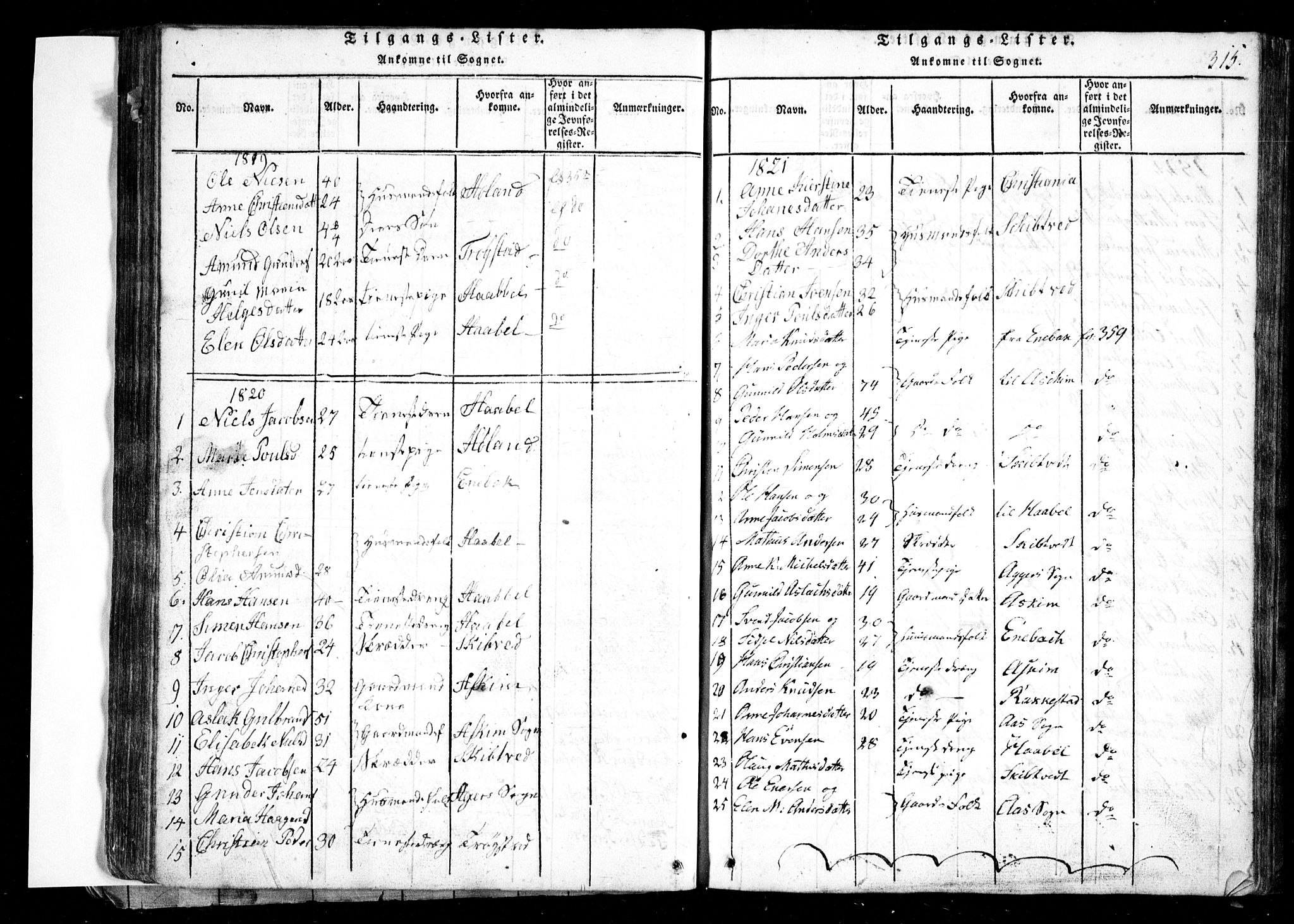Spydeberg prestekontor Kirkebøker, AV/SAO-A-10924/G/Ga/L0001: Parish register (copy) no. I 1, 1814-1868, p. 315