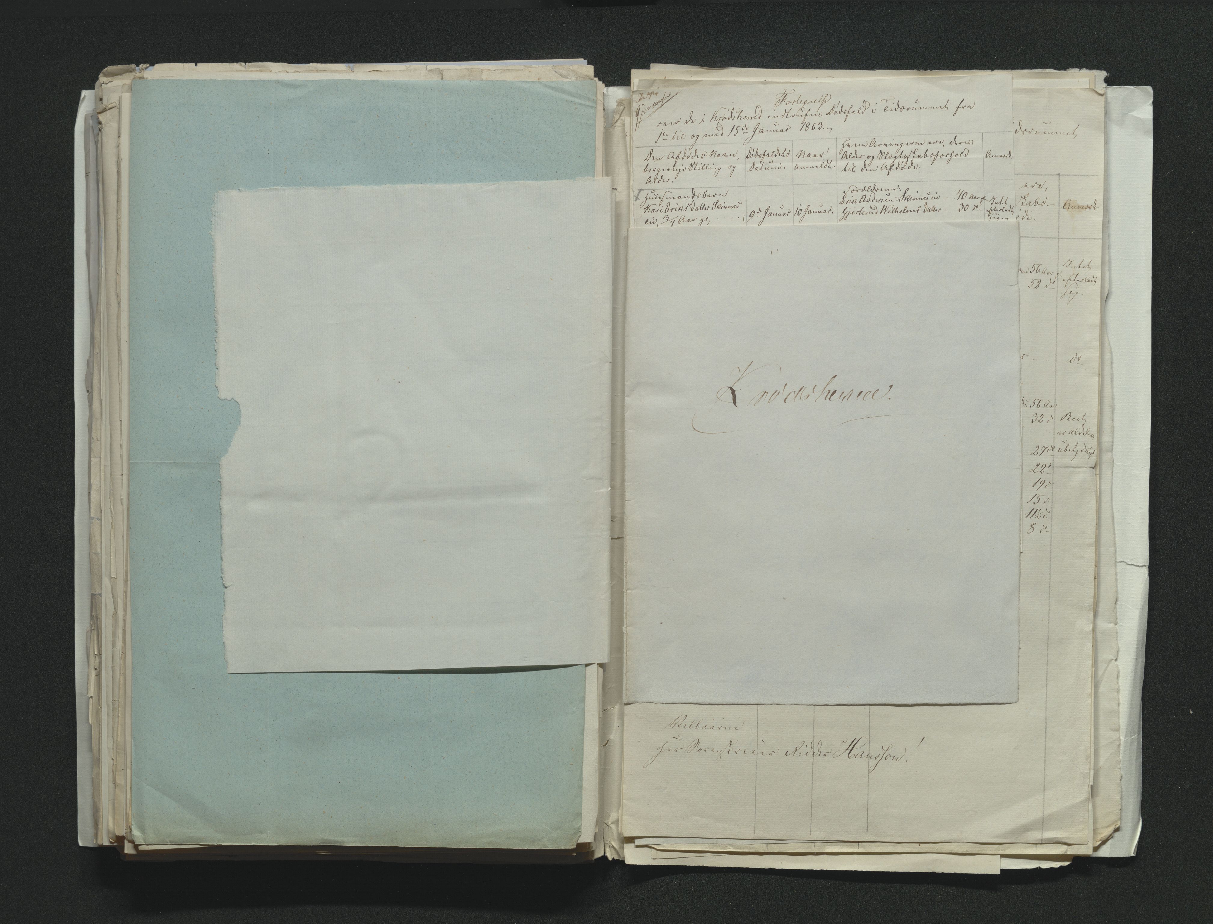 Eiker, Modum og Sigdal sorenskriveri, AV/SAKO-A-123/H/Ha/Hab/L0011: Dødsfallsmeldinger, 1862-1865, p. 315