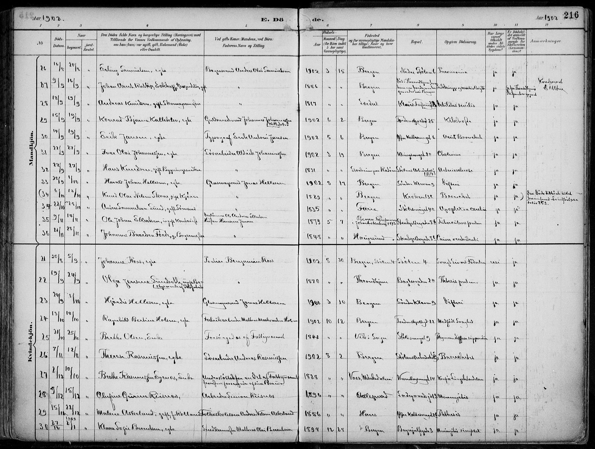 Mariakirken Sokneprestembete, AV/SAB-A-76901/H/Hab/L0005: Parish register (copy) no. A 5, 1893-1913, p. 216