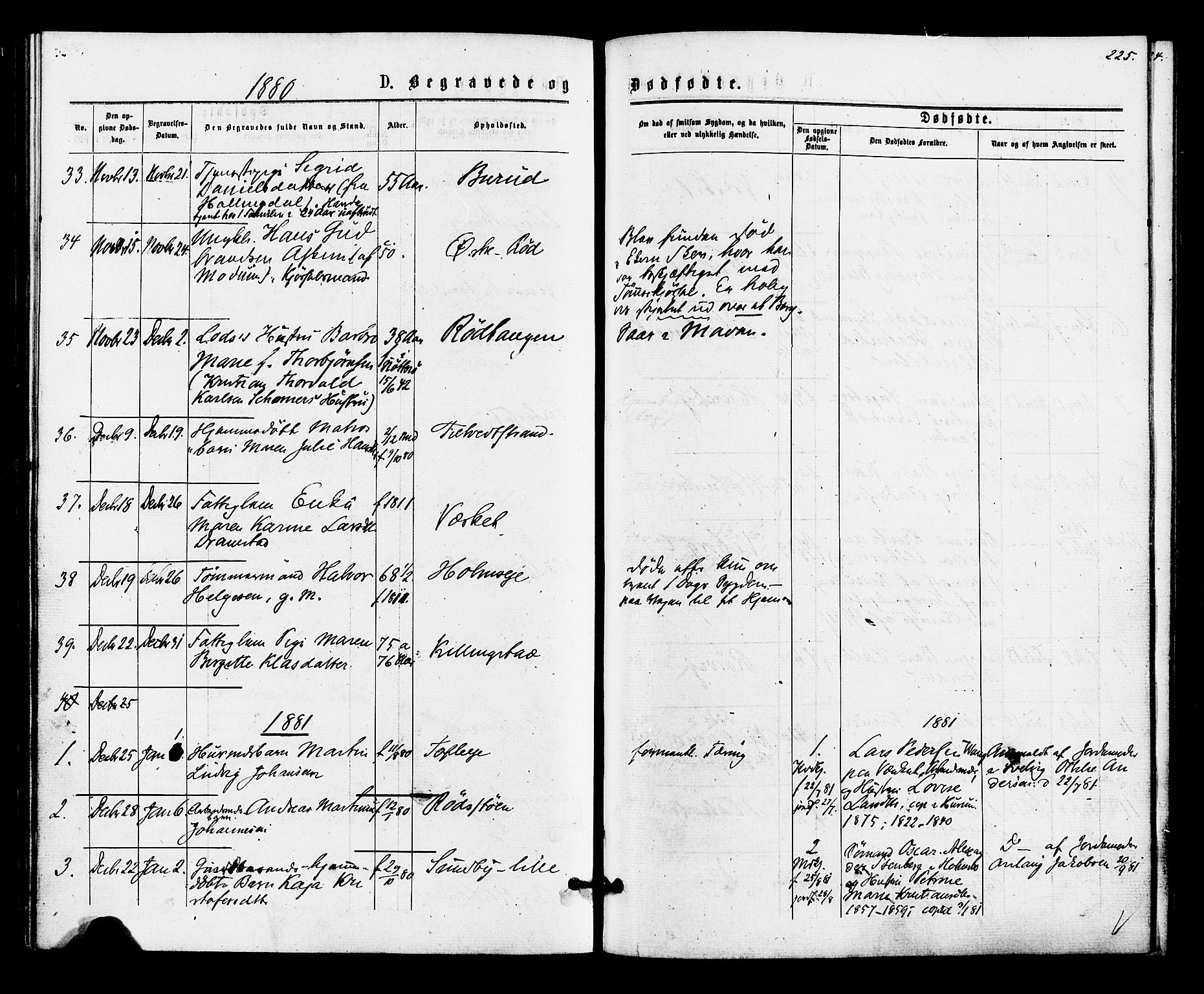 Hurum kirkebøker, SAKO/A-229/F/Fa/L0013: Parish register (official) no. 13, 1876-1881, p. 225
