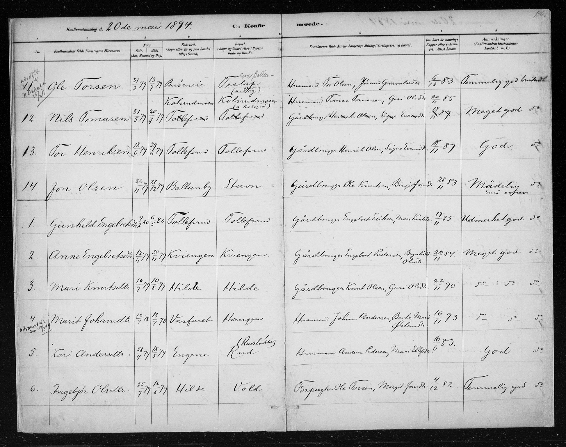 Nes kirkebøker, AV/SAKO-A-236/F/Fa/L0012: Parish register (official) no. 12, 1881-1917, p. 196