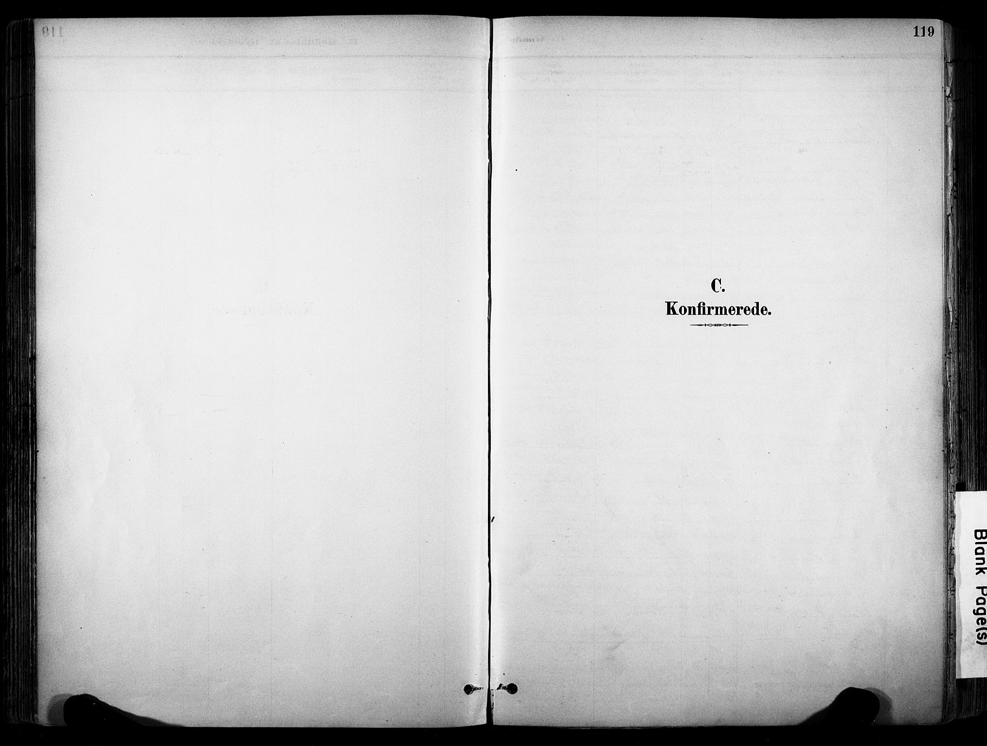 Stokke kirkebøker, AV/SAKO-A-320/F/Fa/L0010: Parish register (official) no. I 10, 1884-1903, p. 119